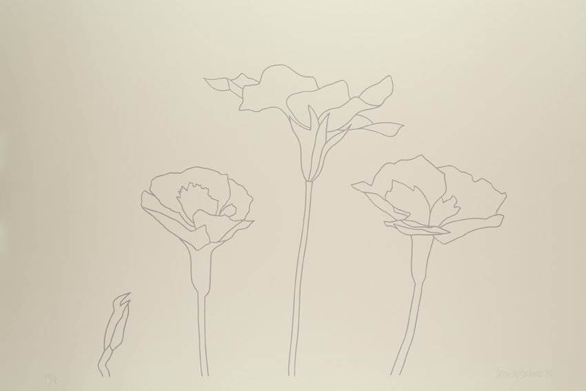Derrick Greaves, Flowerpiece 2 (outline), 1970, Signed, dated and numbered
Screenprint, grey outline, Hollingworth cream wove. Each signed, dated and numbered, Sheet: 2ft 5 ¾ x 3ft 1 ¾ in. / 75.5 x 96 cm, Edition VIII/X