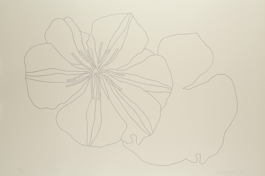 Derrick Greaves, Flowerpiece 9 (outline), 1970, Signed, dated and numbered
Screenprint, grey outline, Hollingworth cream wove. Each signed, dated and numbered, Sheet: 2ft 5 ¾ x 3ft 1 ¾ in. / 75.5 x 96 cm, Edition VIII/X