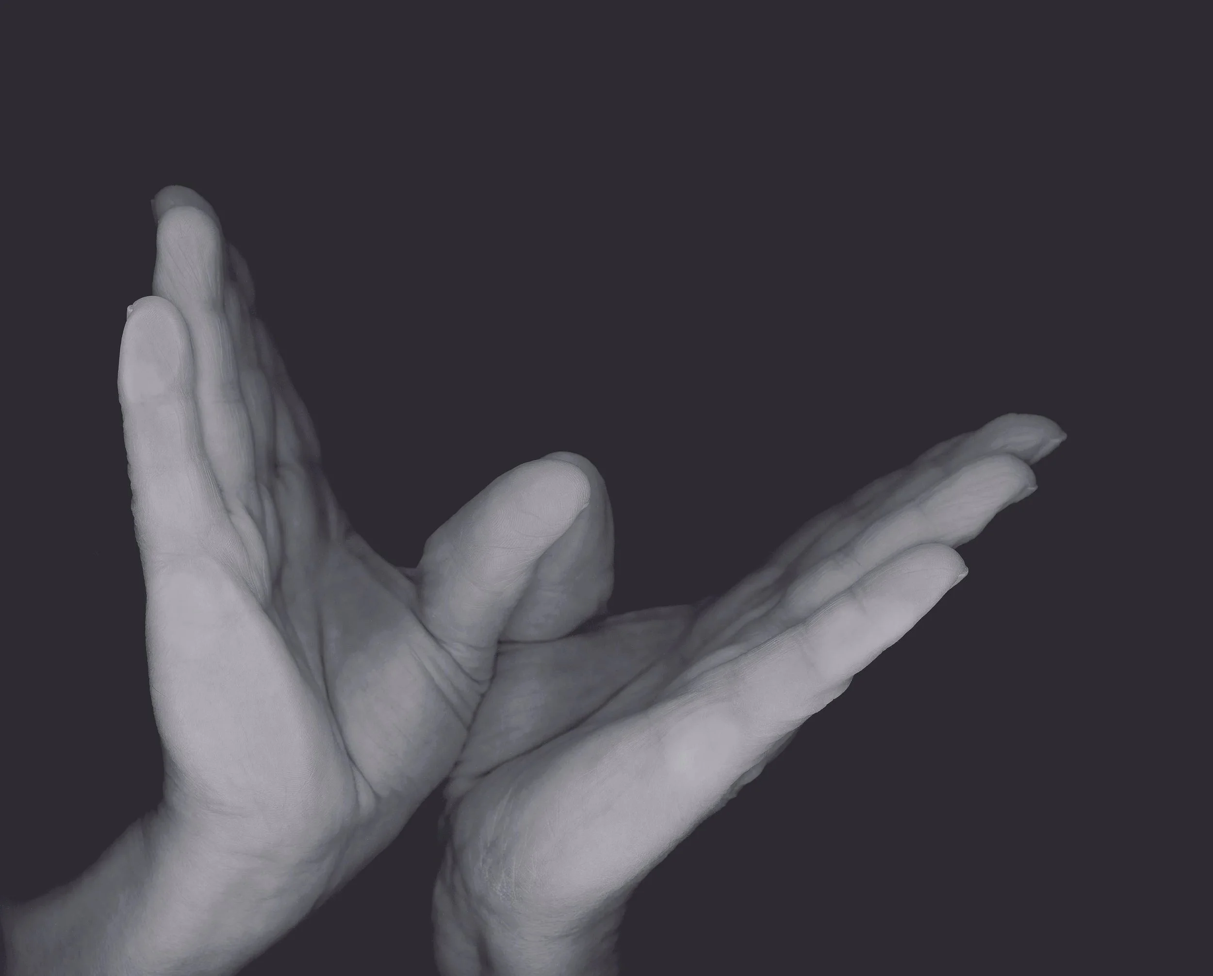 David Ward, I felt my life with both my hands II, 2024 – 25