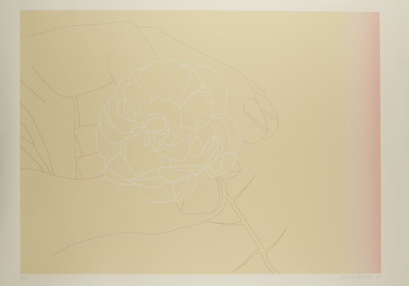 Derrick Greaves, Flowerpiece 3, 1970, Signed, dated and numbered, Screenprint, printed in colours, on Hollingworth cream wove, Sheet: 2ft 5 ⅛ x 3ft 1 ¼ in. / 74 x 94.5 cm, Edition 8 of 50