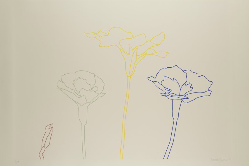 Derrick Greaves, Flowerpiece 2, 1970, Signed, dated and numbered, Screenprint, printed in colours, on Hollingworth cream wove, Sheet: 2ft 5 ⅛ x 3ft 1 ¼ in. / 74 x 94.5 cm, Edition 8 of 50
