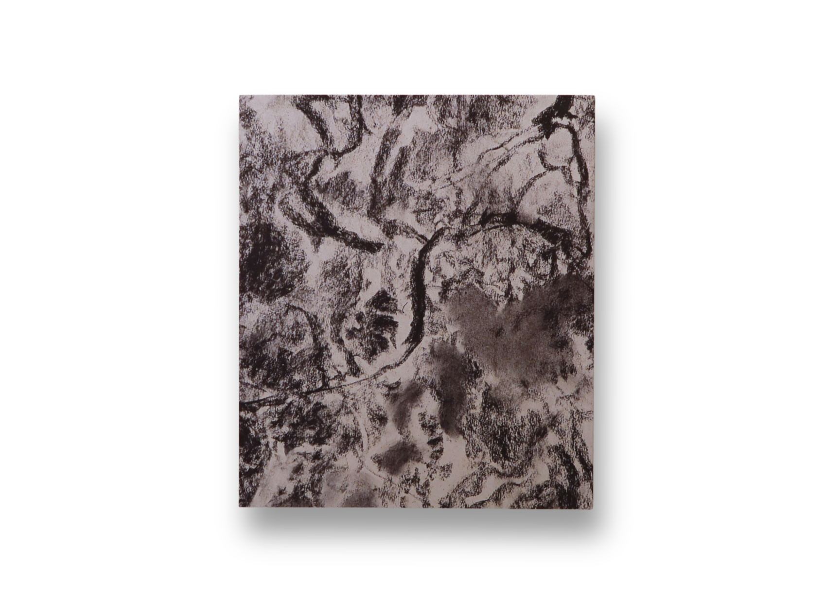 hubbard+trees+back.png