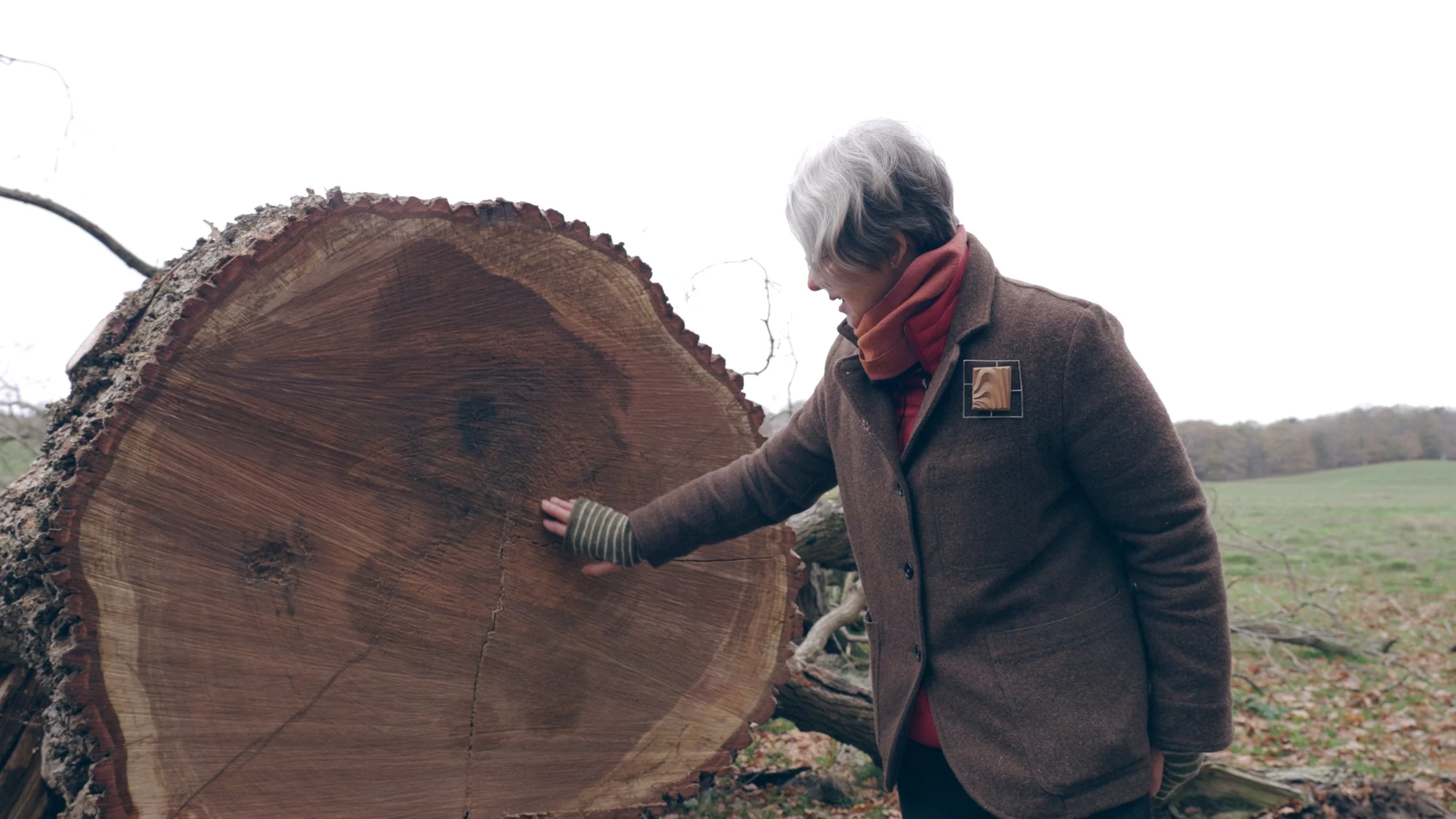 In Conversation: Alison Crowther and The Woodland Heritage Trust