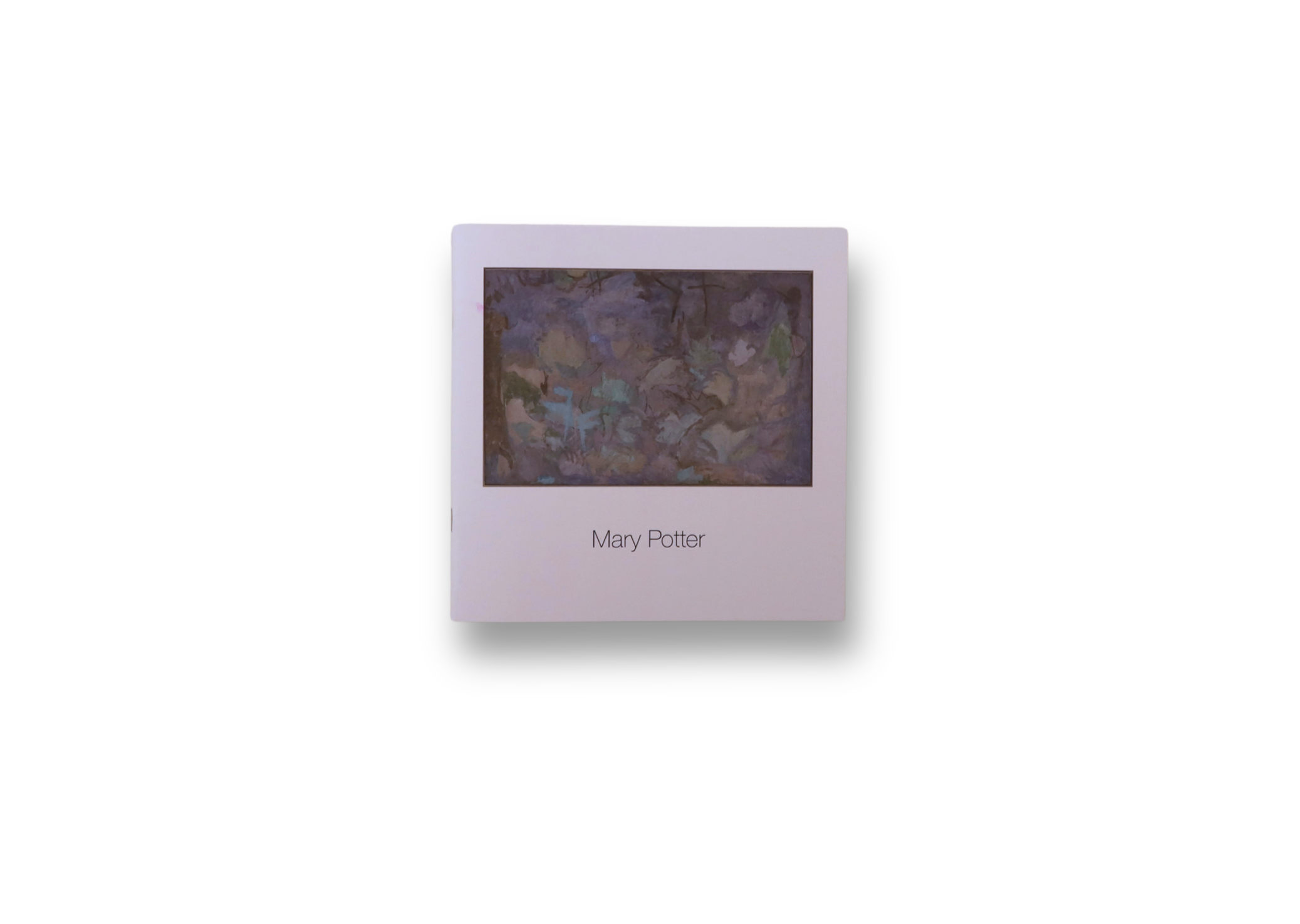 Mary Potter A  Transformative Vision