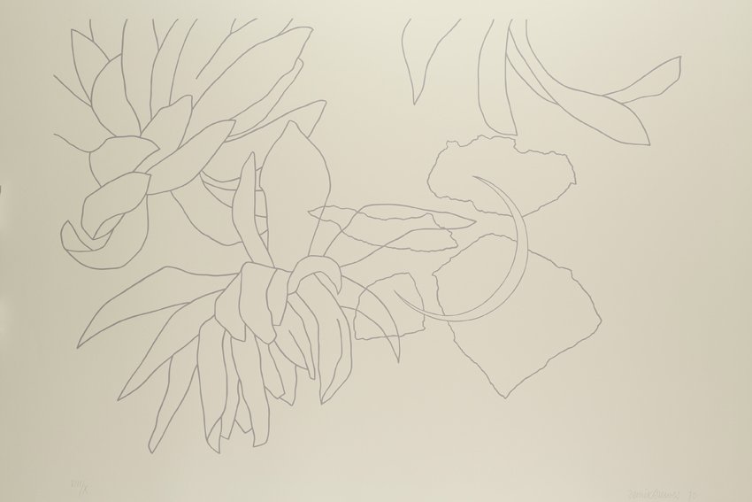 Derrick Greaves, Flowerpiece 5 (outline), 1970, Signed, dated and numbered
Screenprint, grey outline, Hollingworth cream wove. Each signed, dated and numbered, Sheet: 2ft 5 ¾ x 3ft 1 ¾ in. / 75.5 x 96 cm, Edition VIII/X