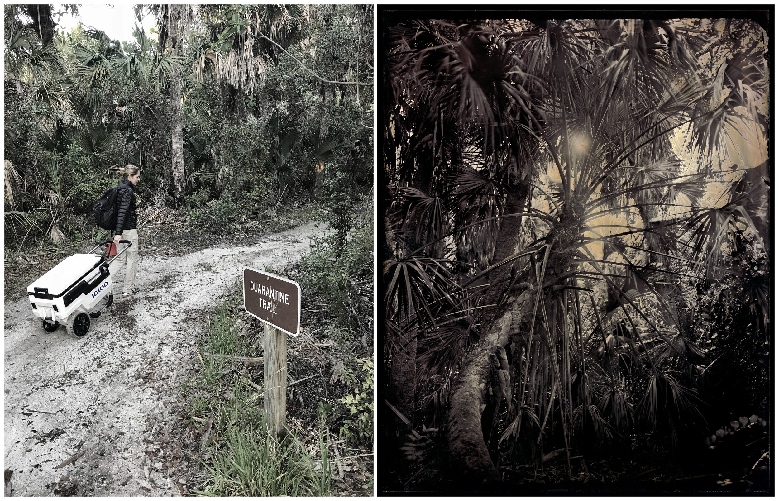  Quarantine Trail,  Cayo Costa, Florida, 2017 