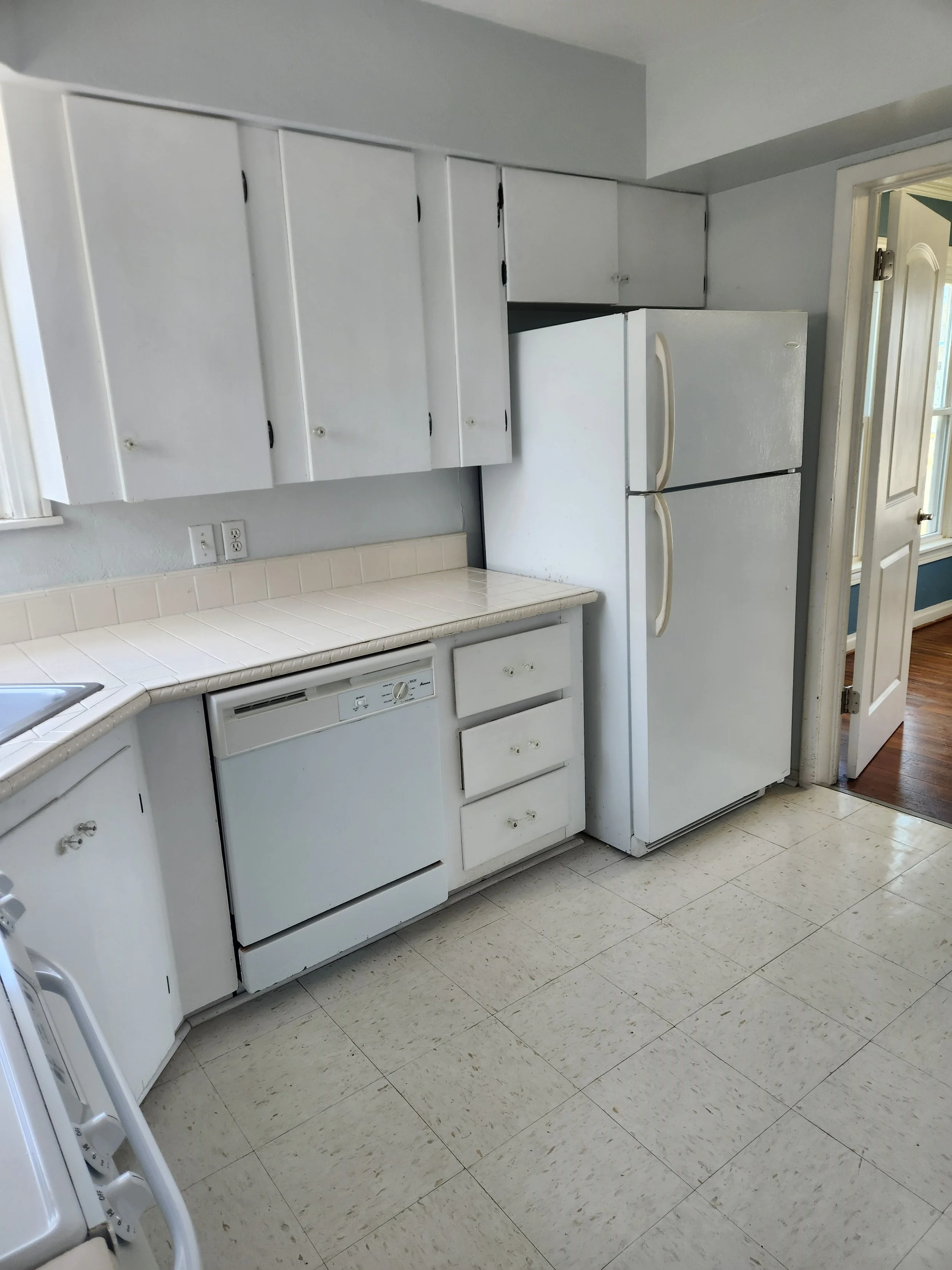 Kitchen refrigerator and dishwasher.jpg