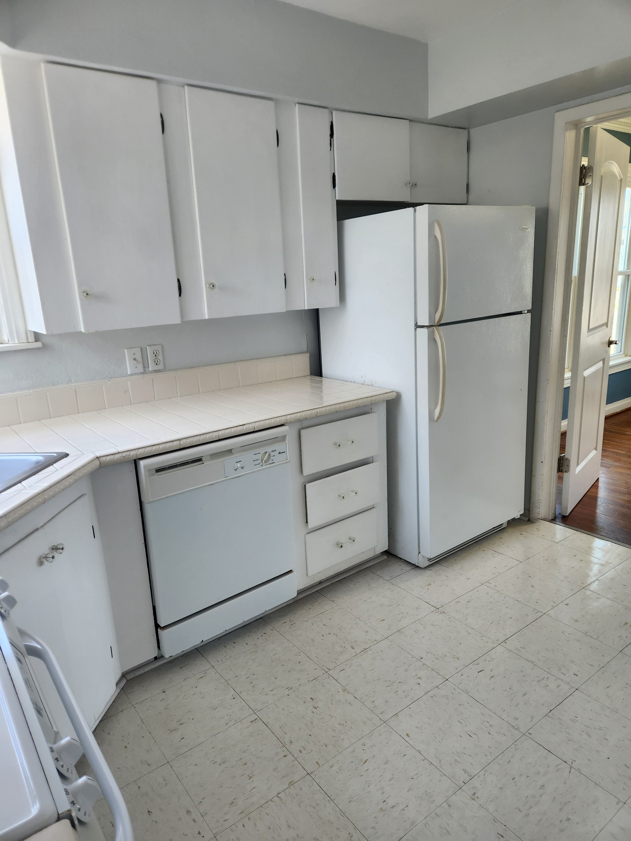 Kitchen refrigerator and dishwasher.jpg