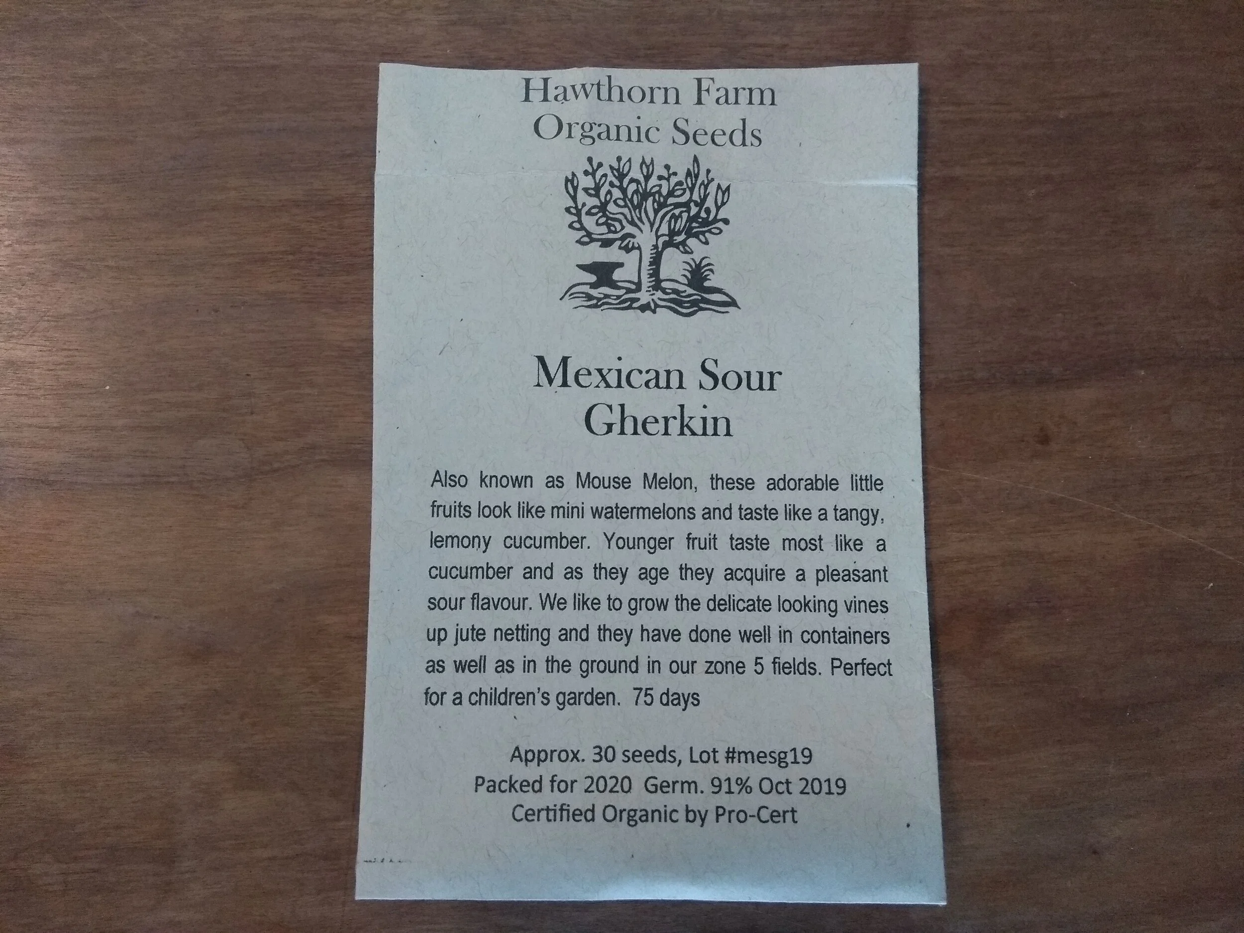 Mexican Sour Gherkin 2020