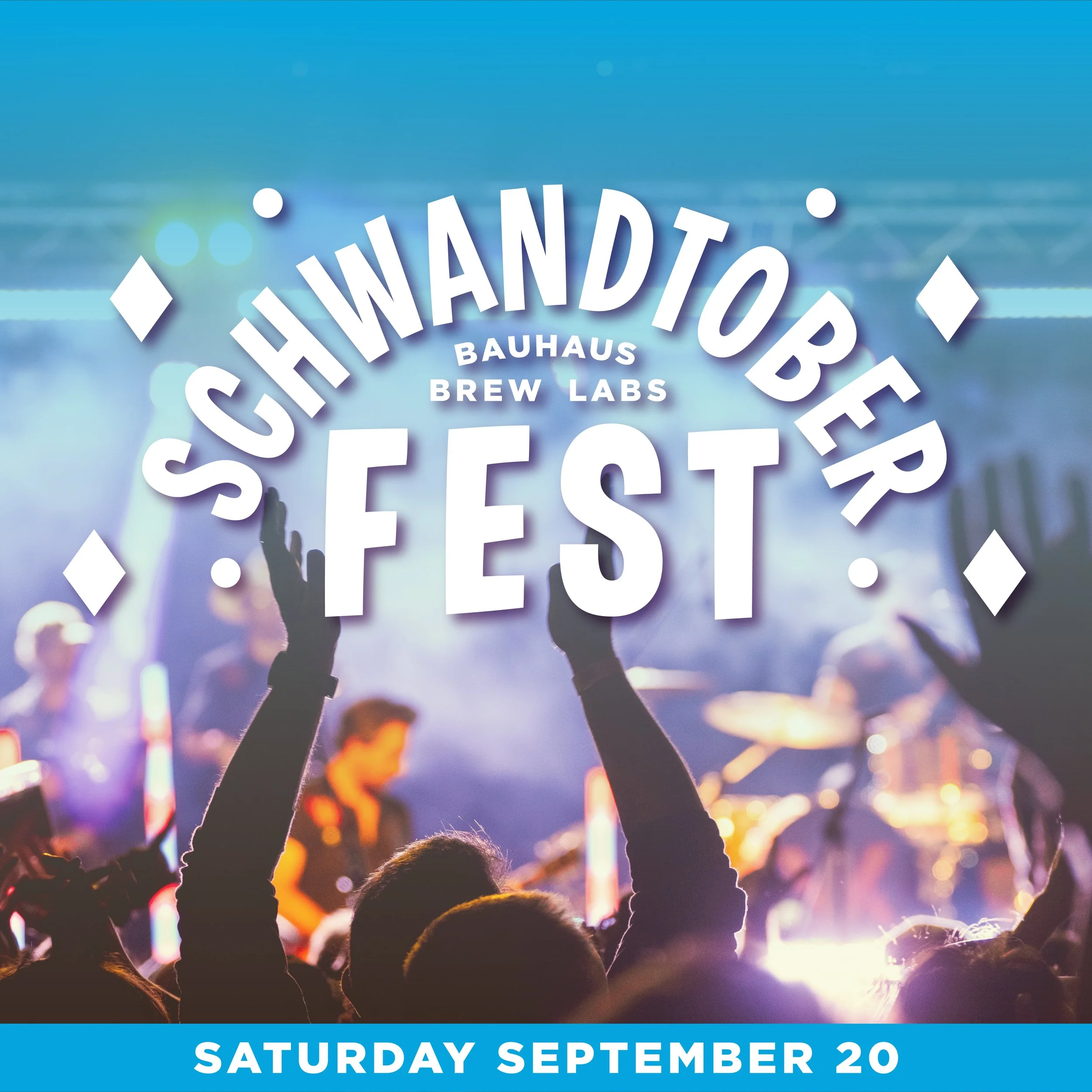 SCHWANDTOBER FEST