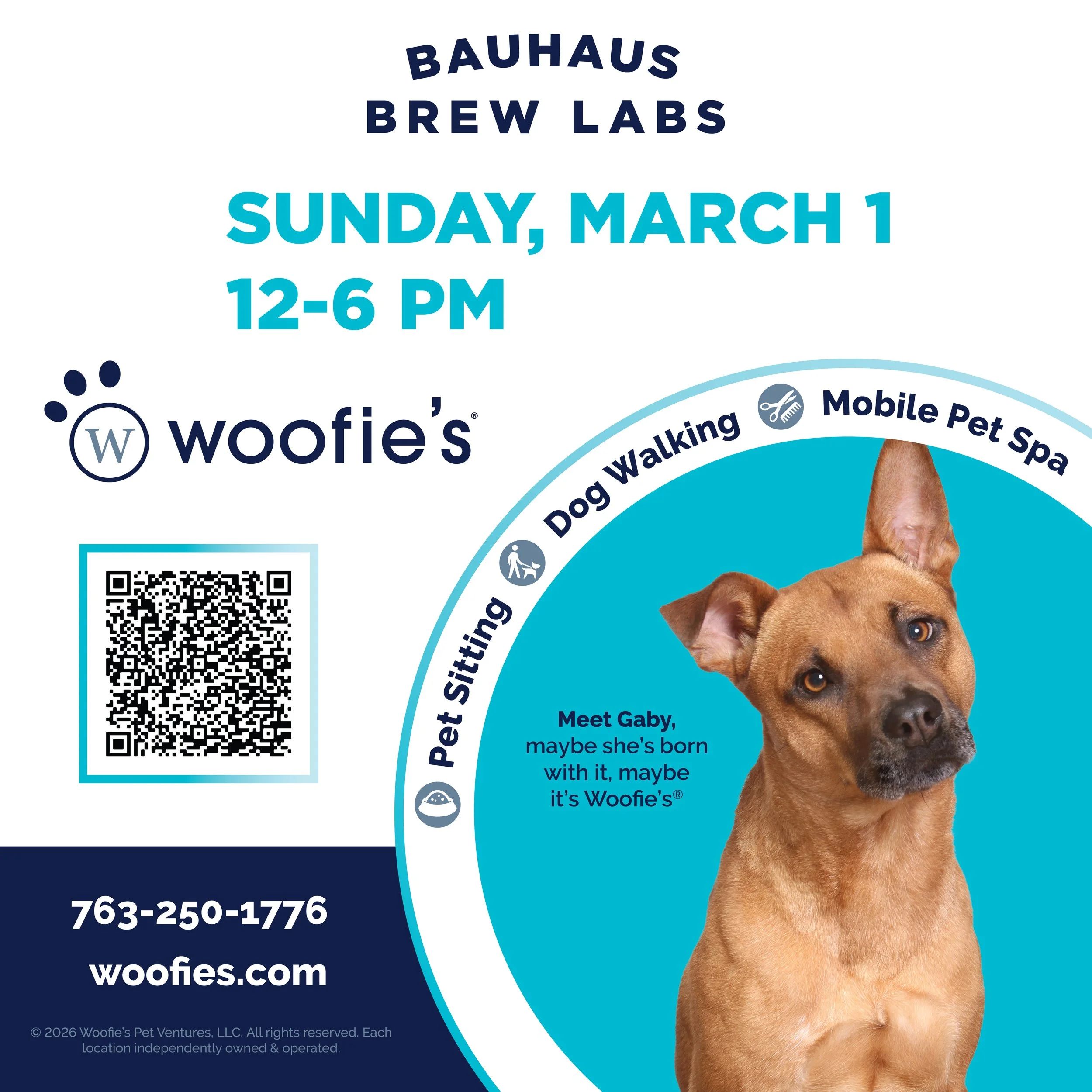 PINTS & PAWS: PET GROOMING