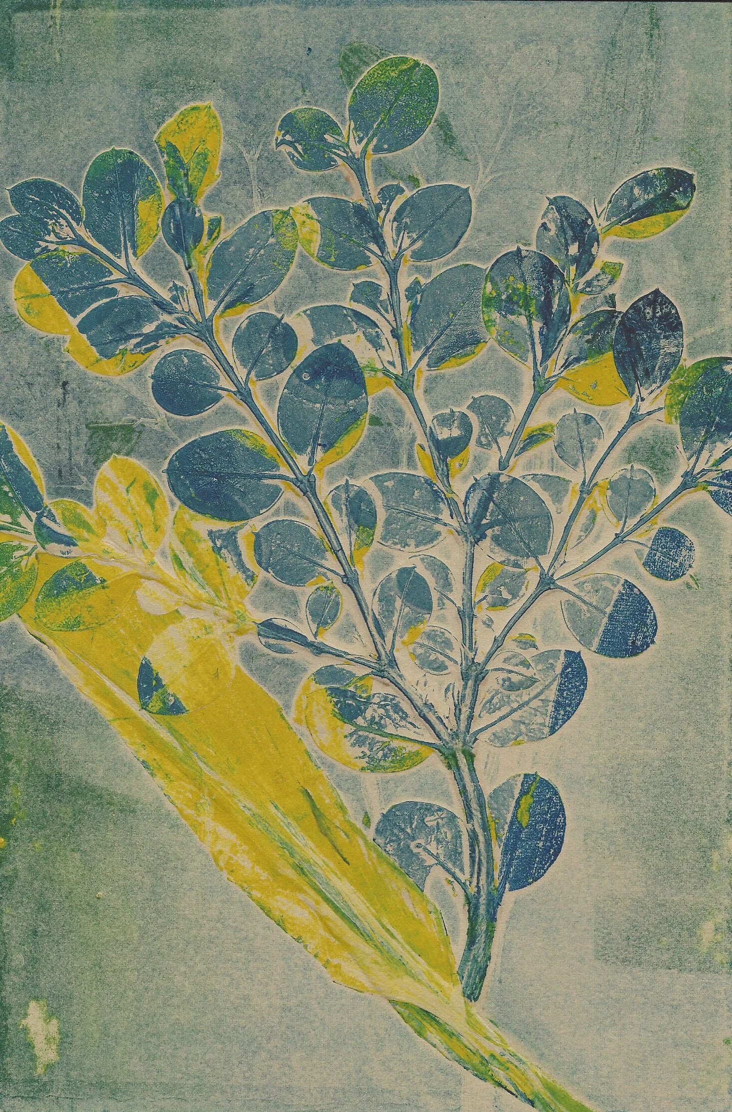 MonoprintLeaves 4.jpg