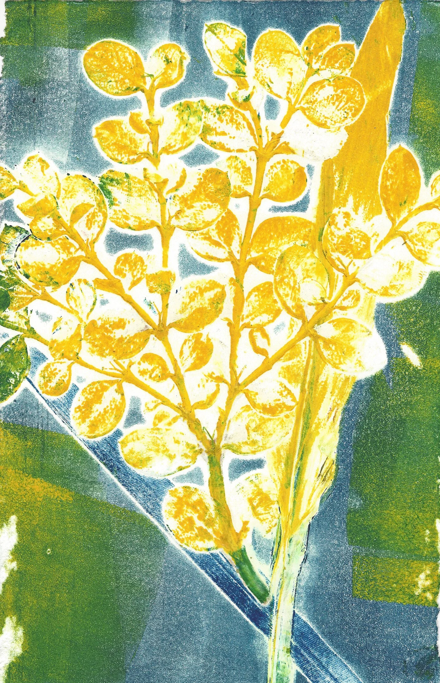 MonoprintLeaves 3.jpg