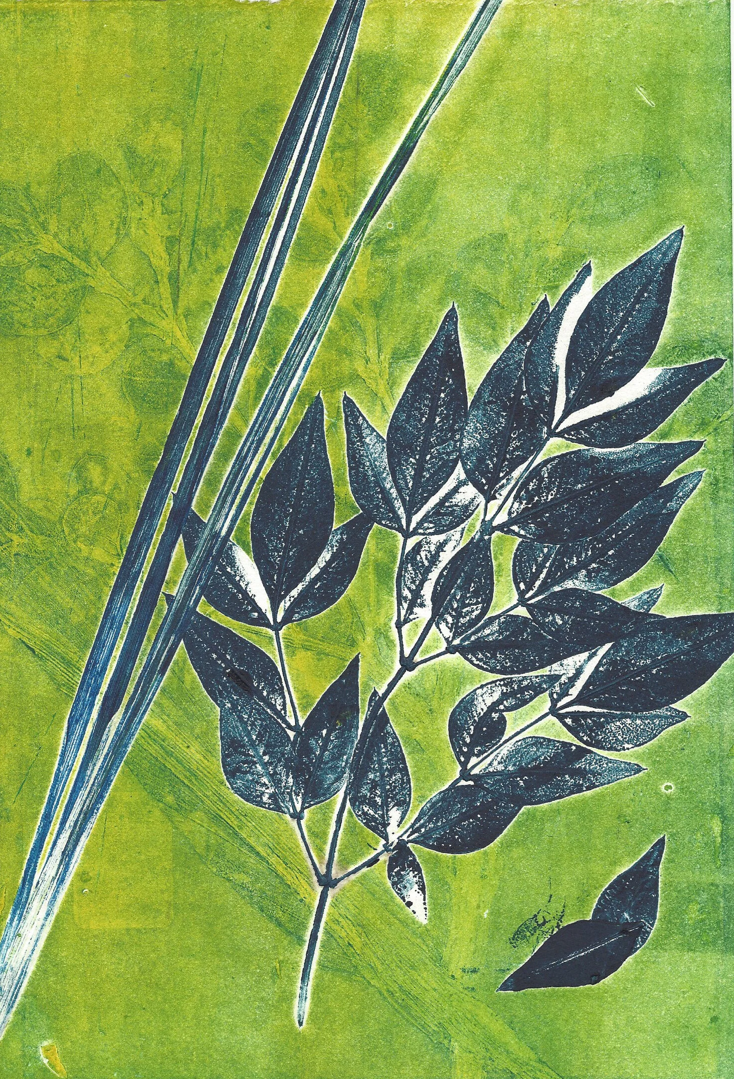 MonoprintLeaves 1.jpg