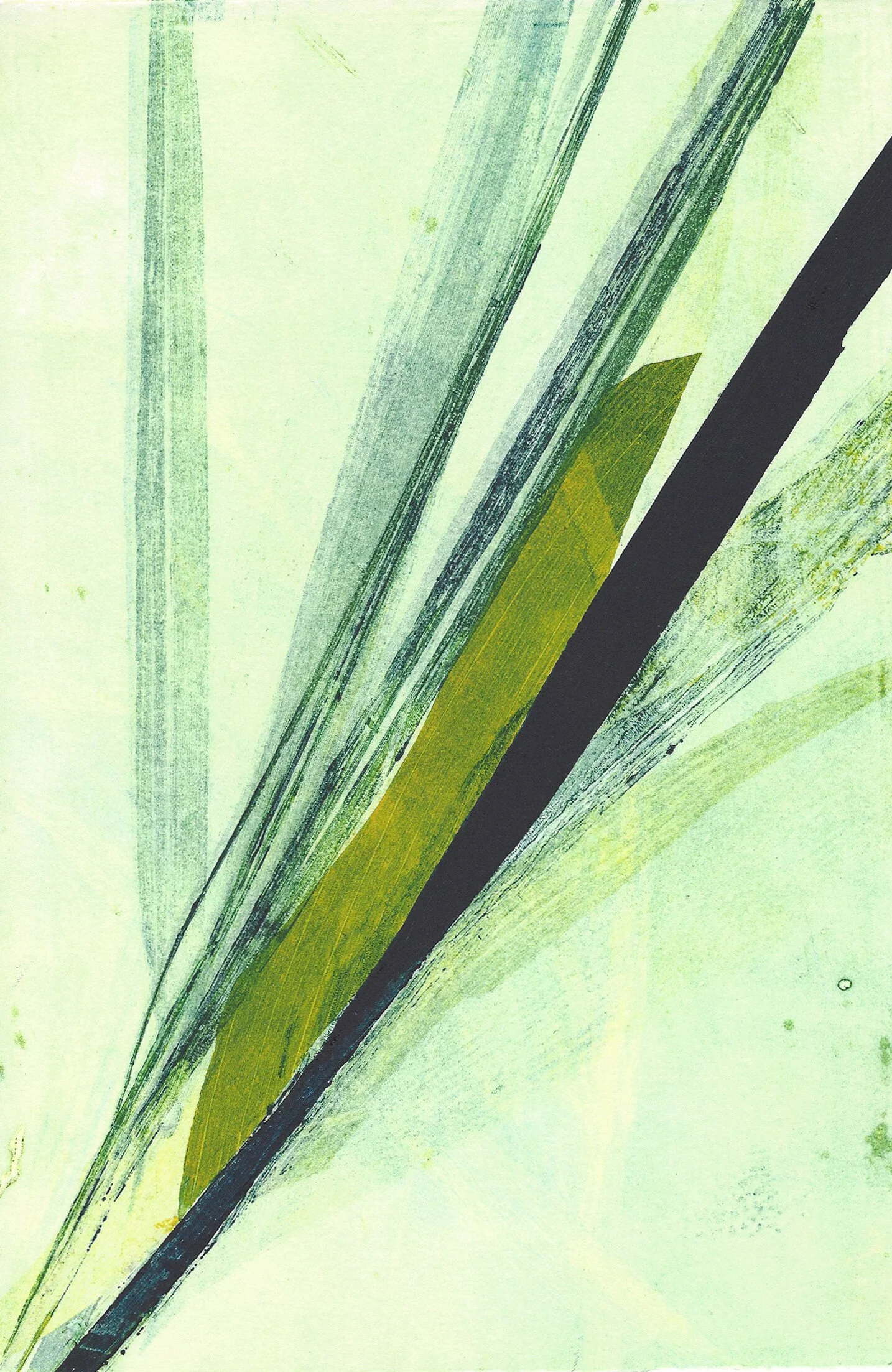 leafmono10crop.jpg