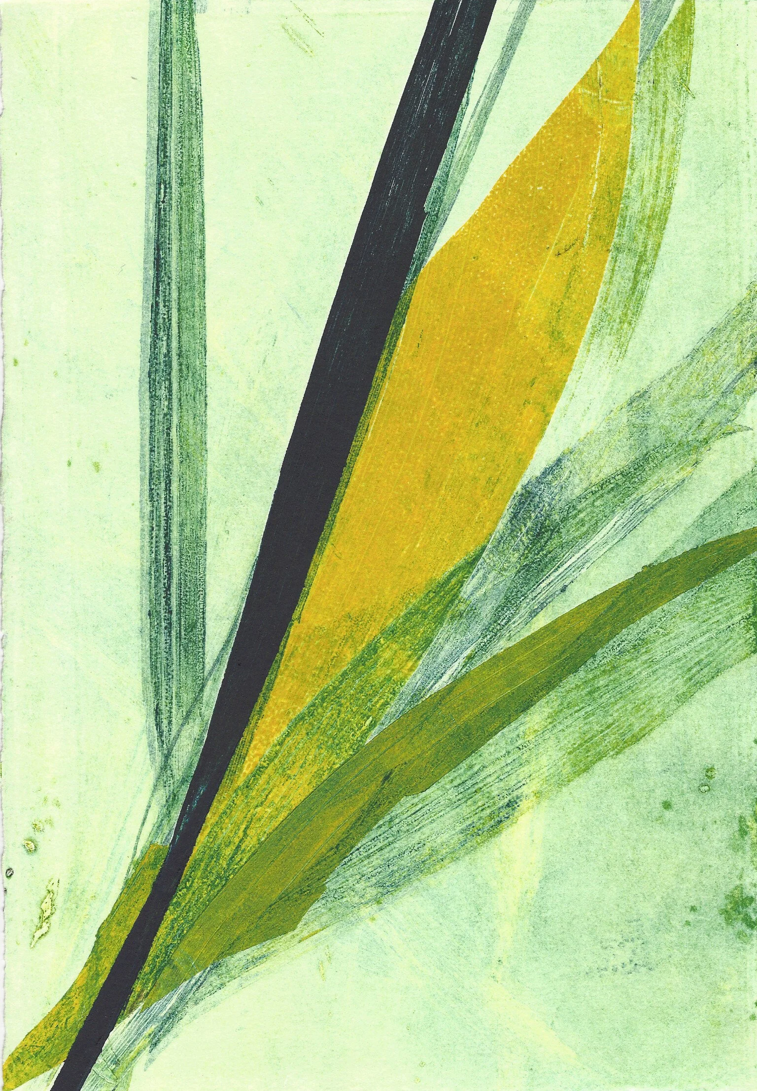 leafmono9crop.jpg