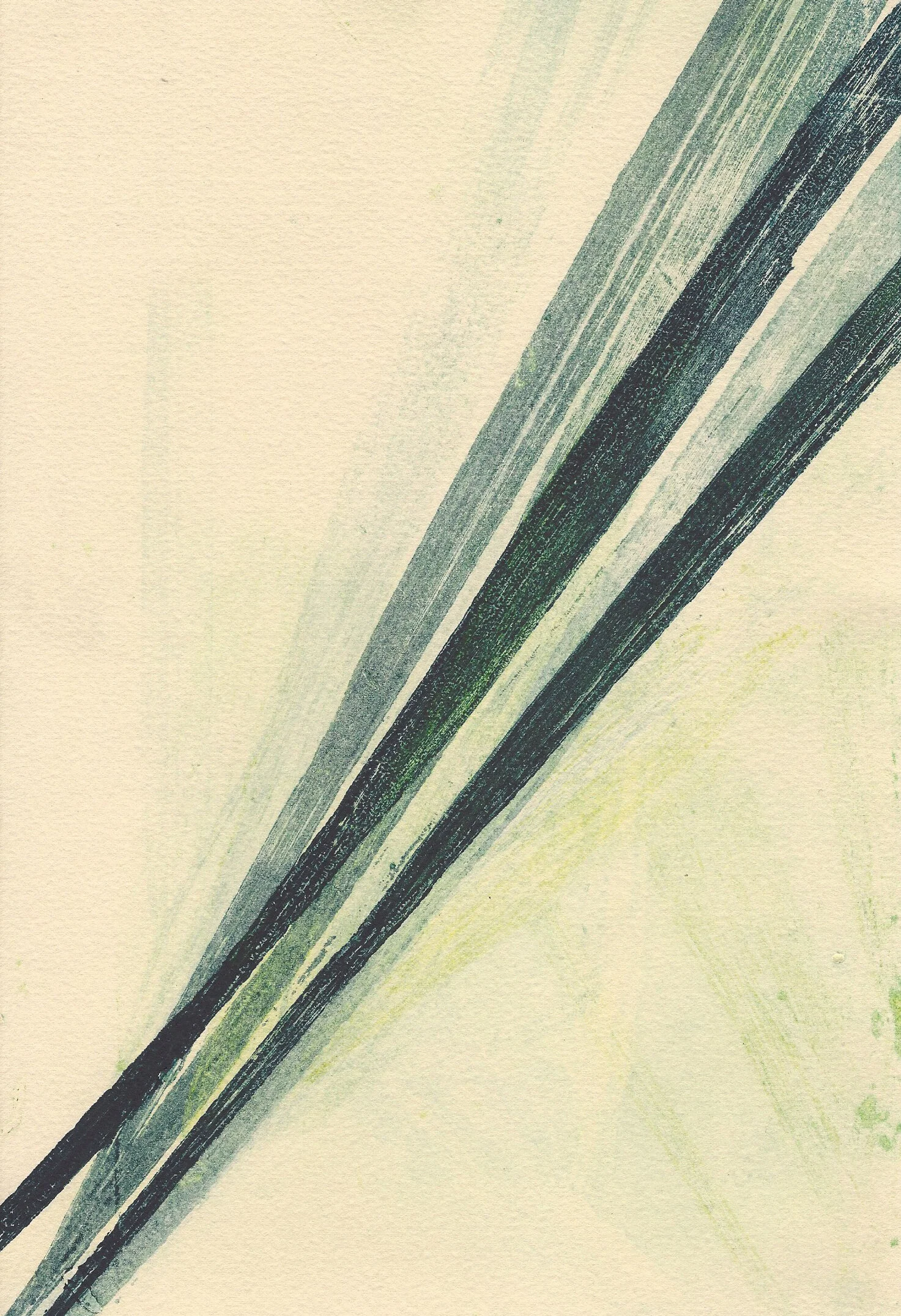 leafmono12crop.jpg