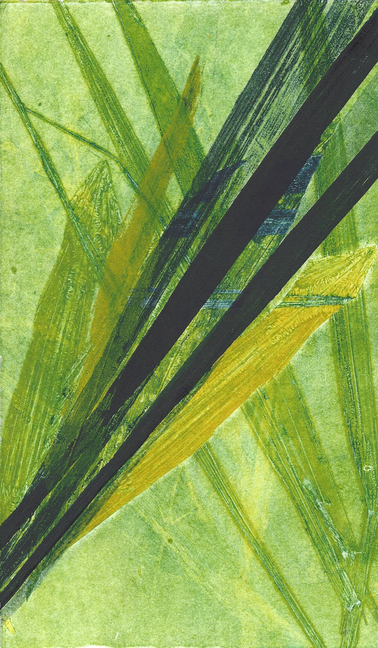 leafmono13crop.jpg