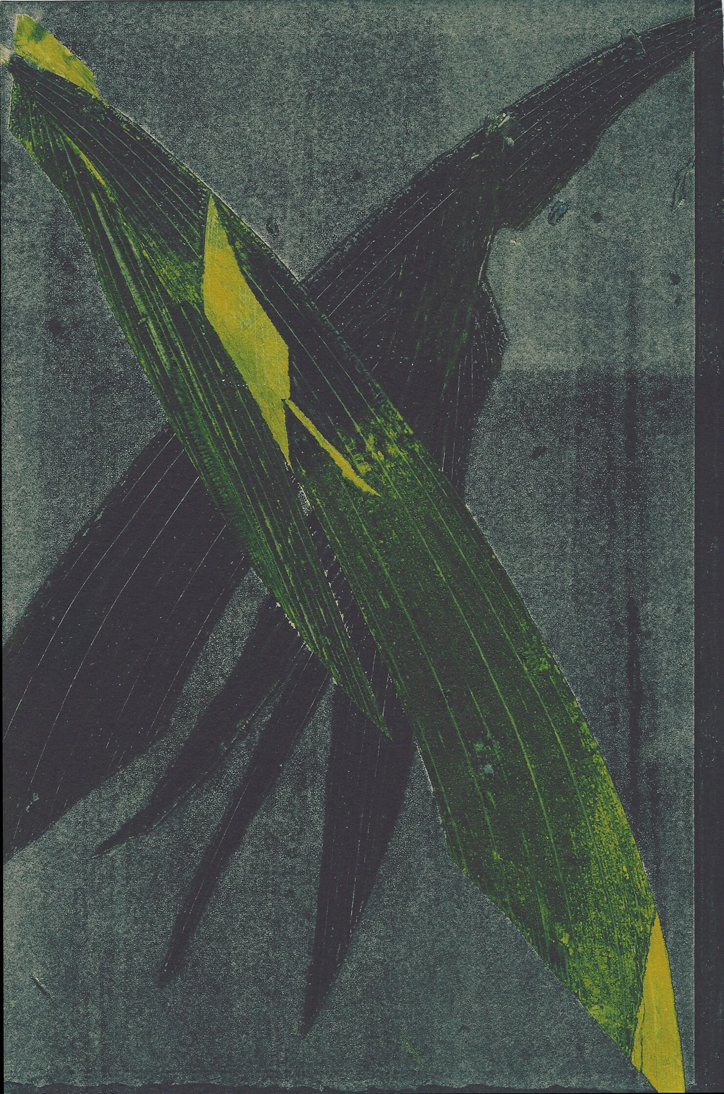 leafmono1crop.jpg