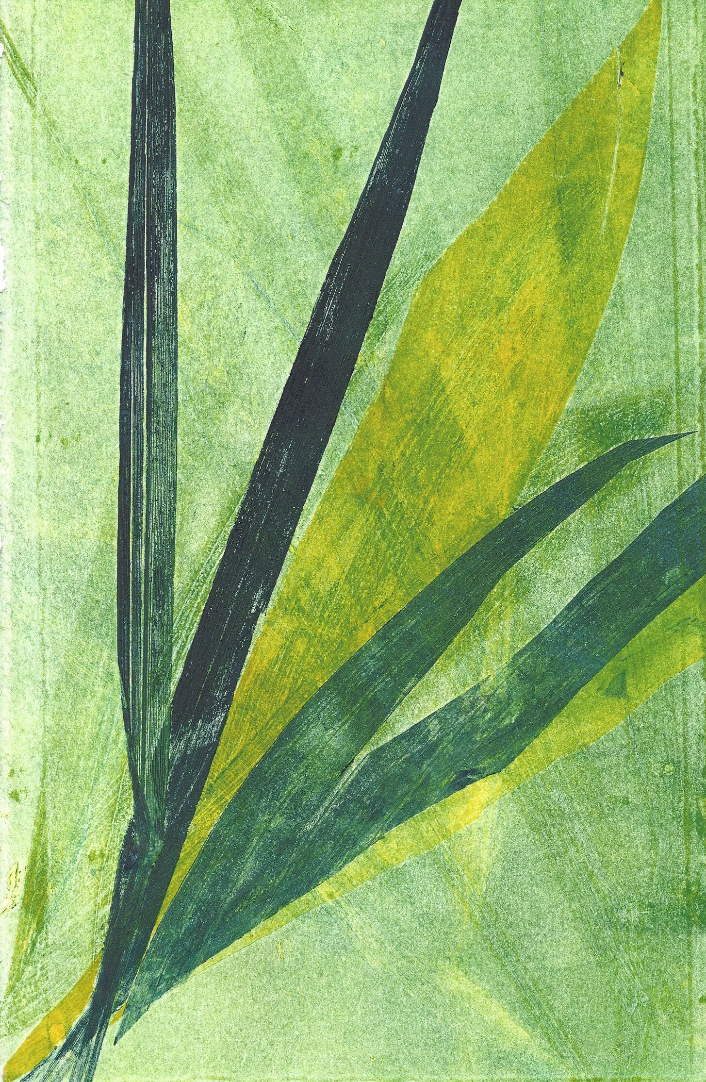 leafmono2crop.jpg