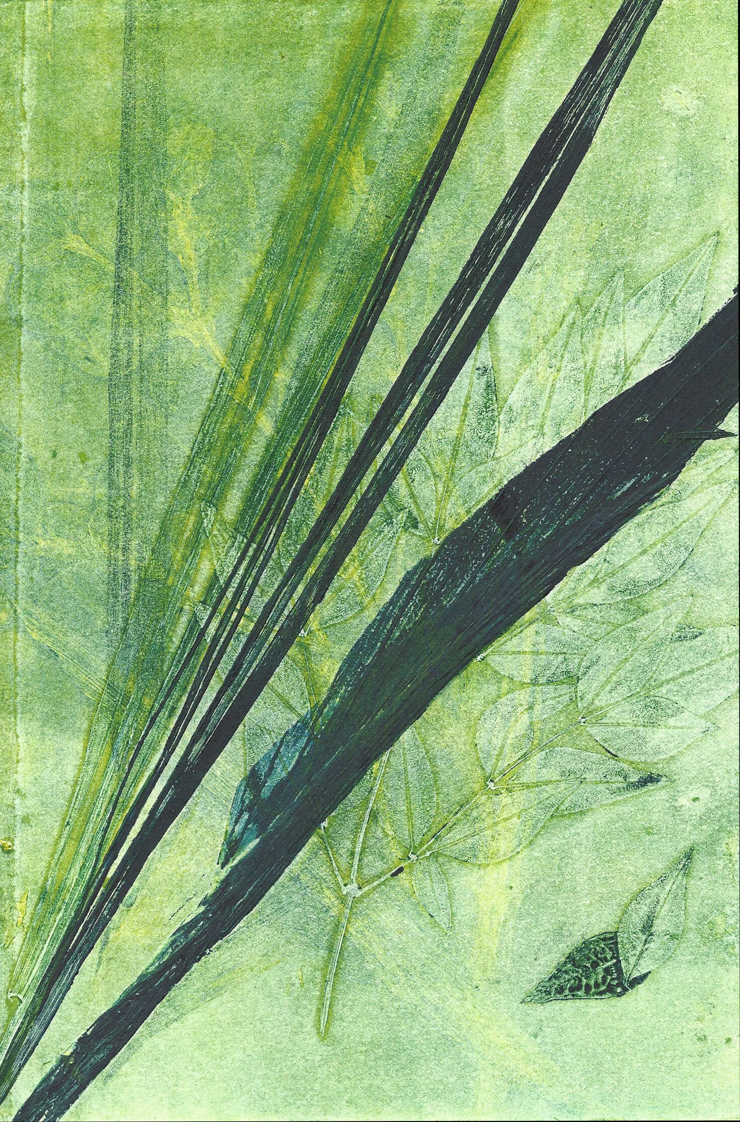 leafmono3crop.jpg