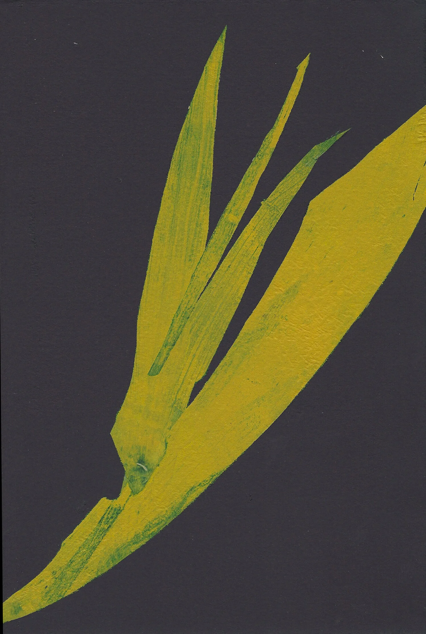 leafmono4crop.jpg