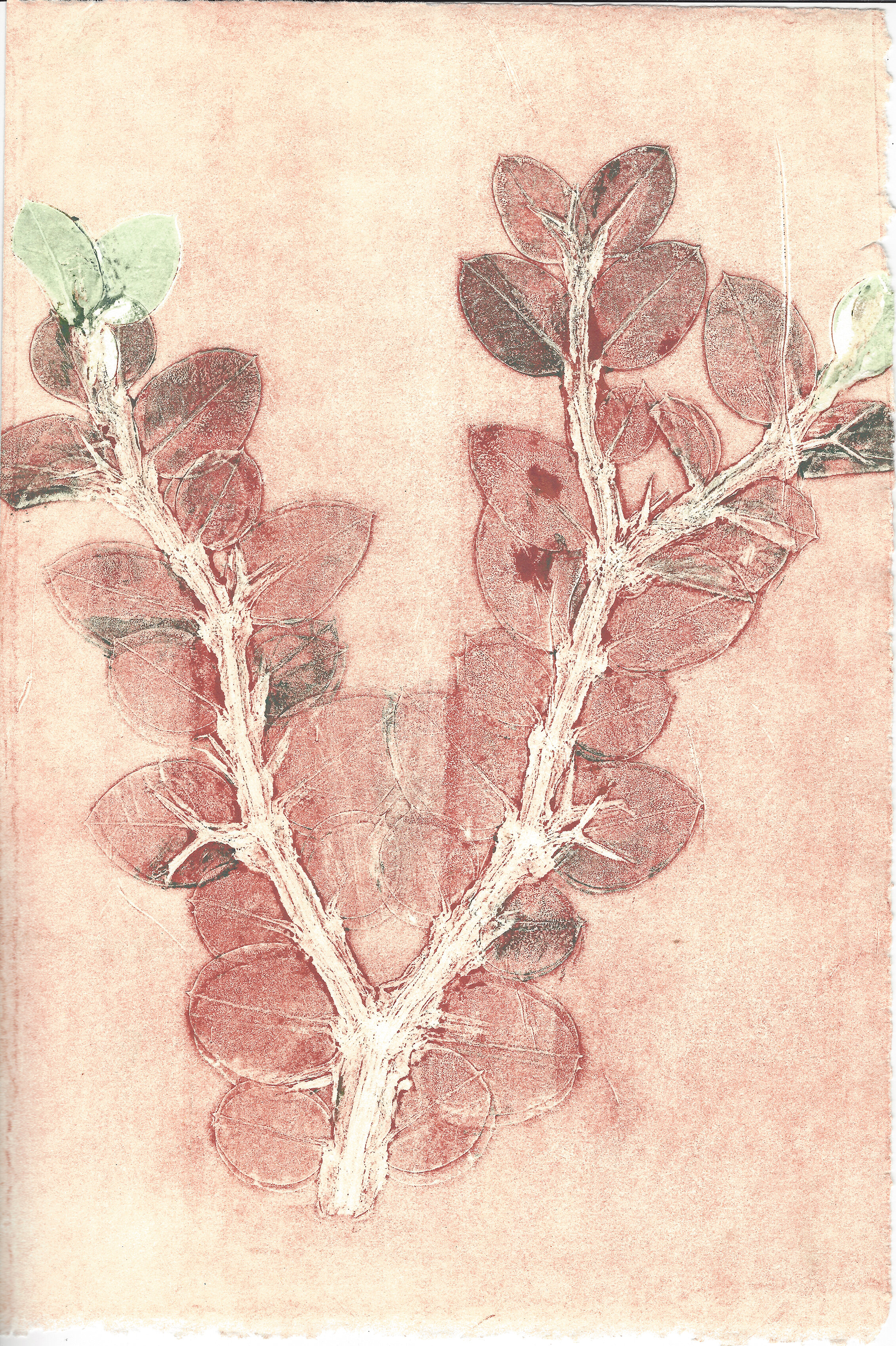 LeafMonoprintSeries 7RESIZE.jpg