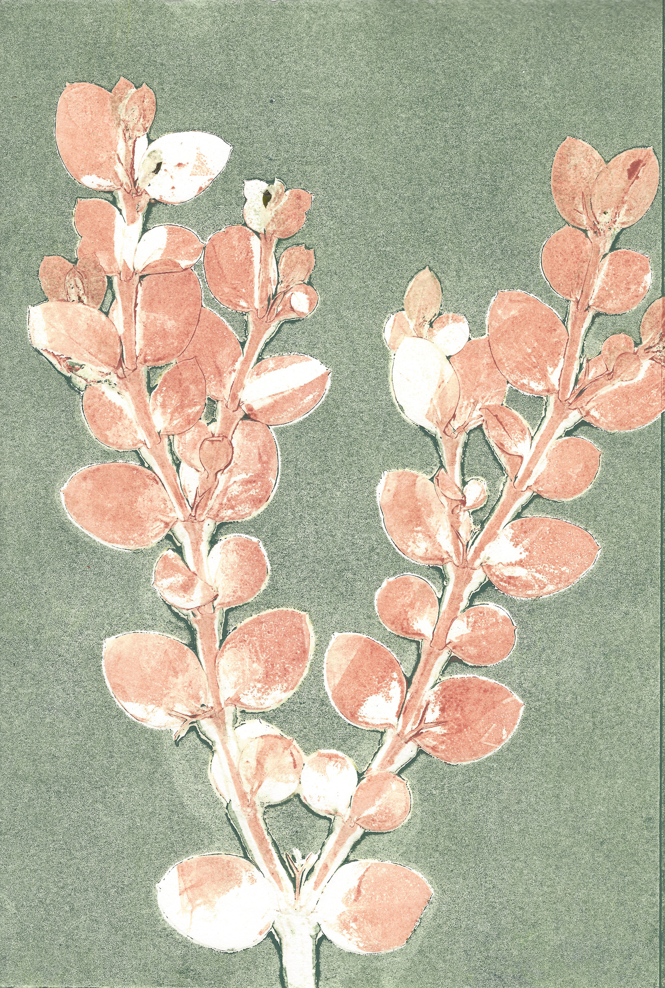LeafMonoprintSeries 9RESIZE.jpg