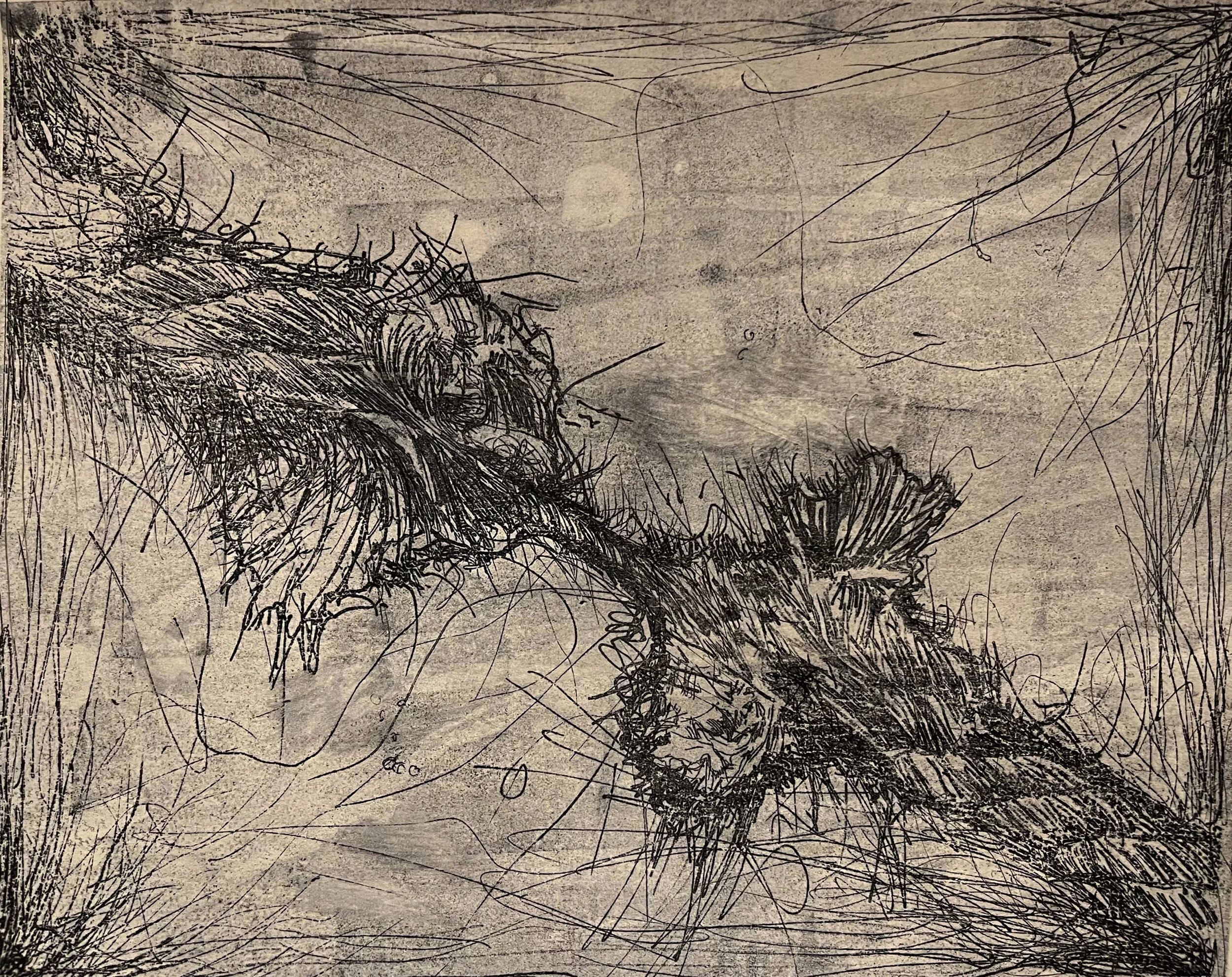 Split, 8" x 10". Paper Lithograph Print, 2020.