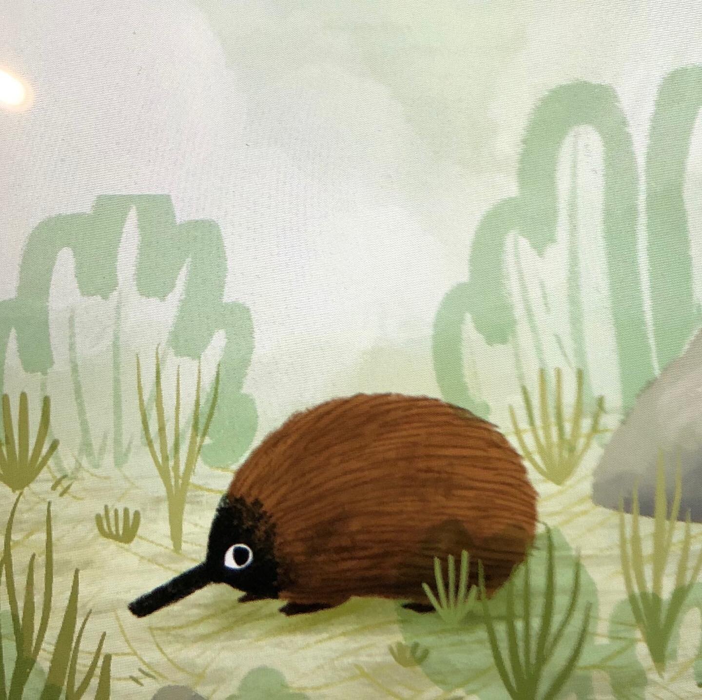You gotta be echidna-ing me! This guy is FN adorable!!