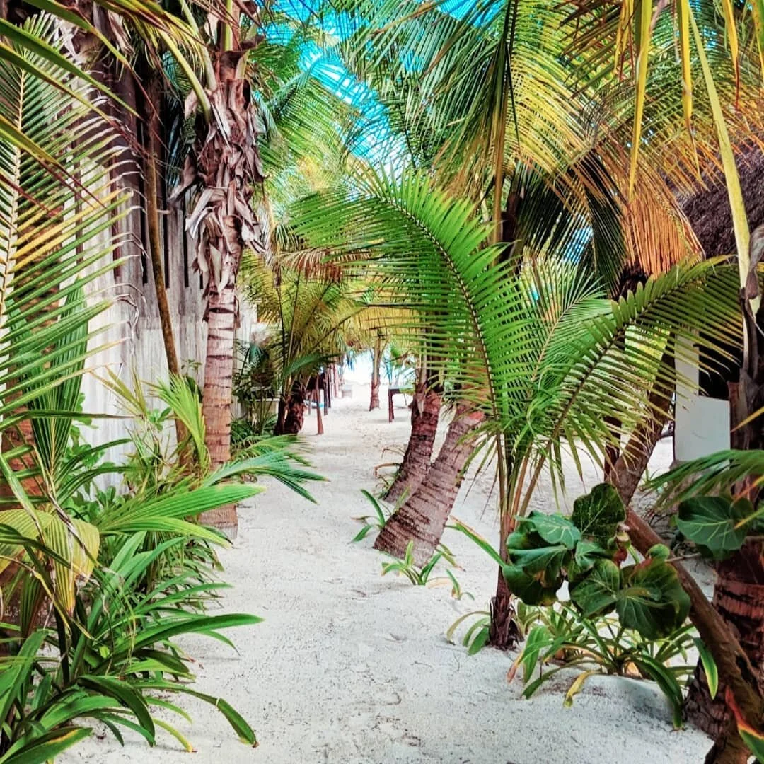 #tulum ☀️🌊🌴🙌🙏