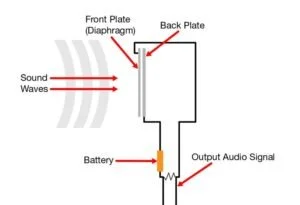 condenser microphone diagram
