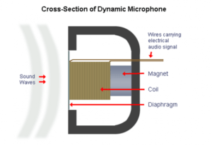 Dynamic Microphone diagram