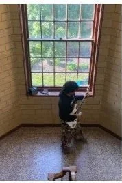 M5 Newsletter: Recording with Raffy