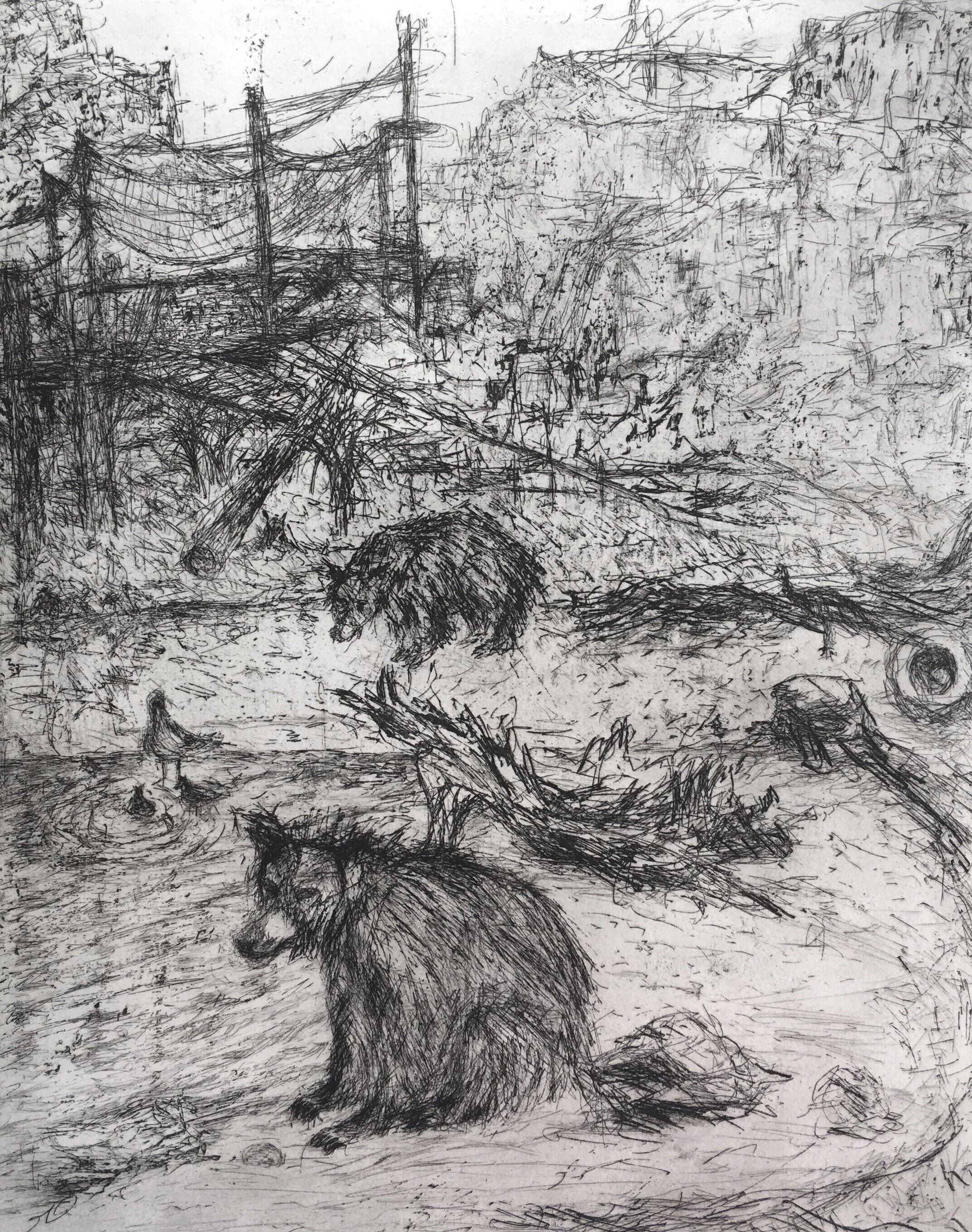 Bears, London Zoo. Etching with Aquatint. 380mm x 480mm