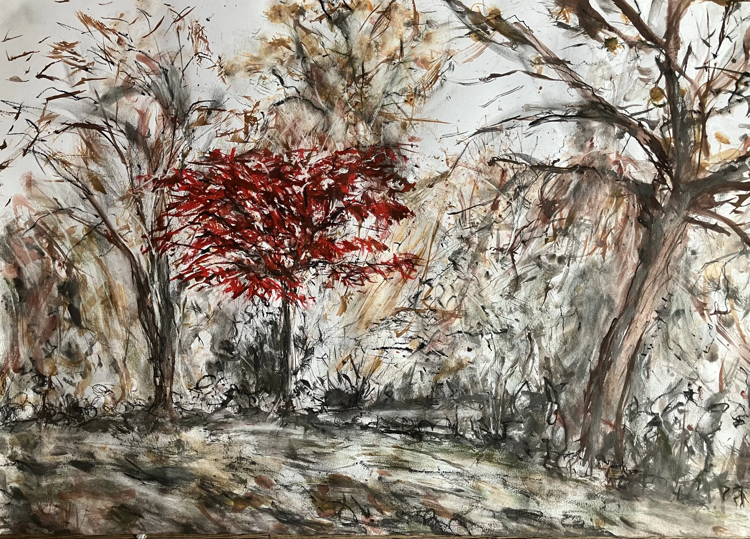 Red Tree, Late Autumn, Greenwich Park
Carbon drawin + Acrylic paint 595 x 420mm 