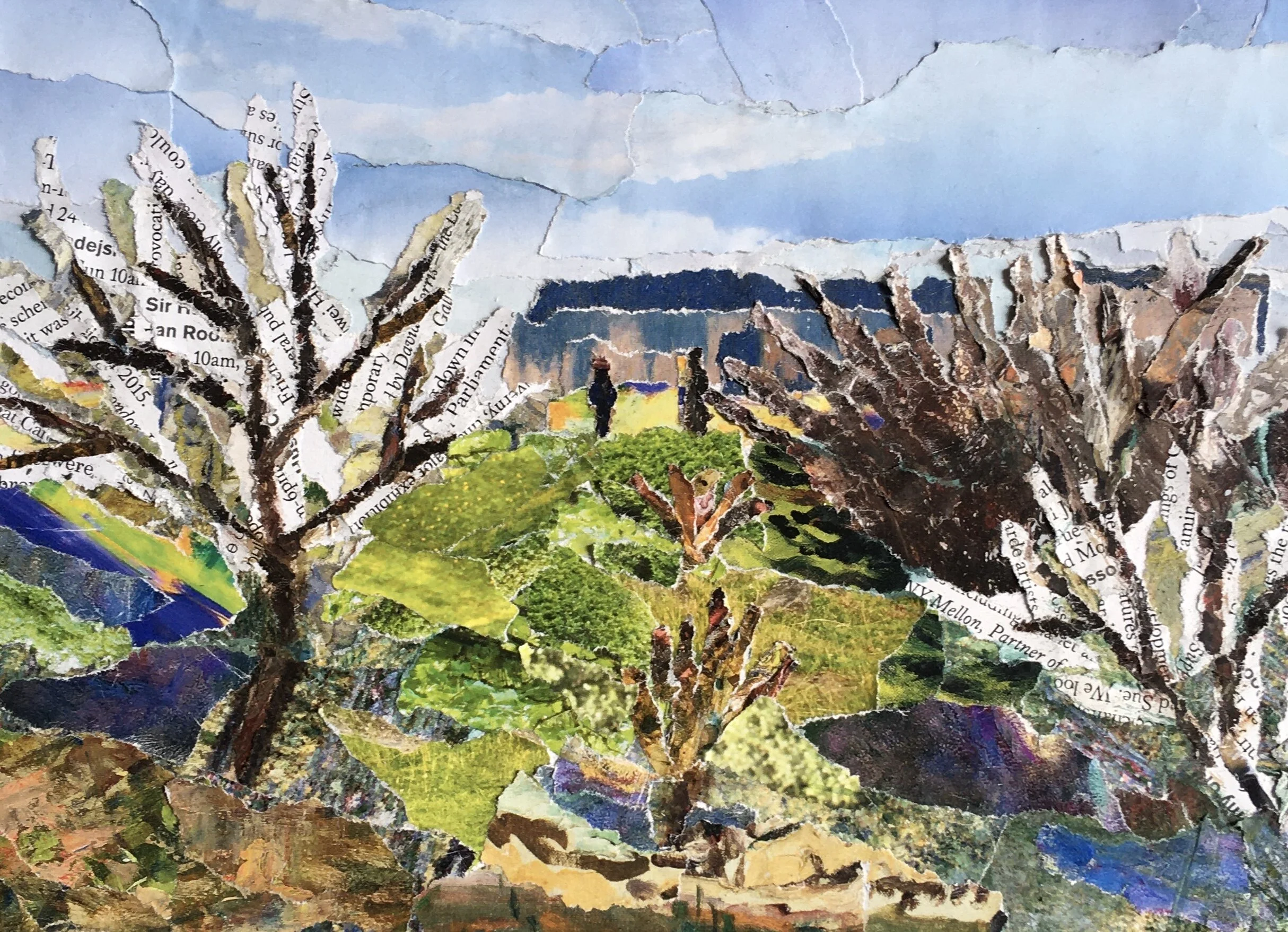 First signs of Spring, Blackheath. 210mm x 150mm*