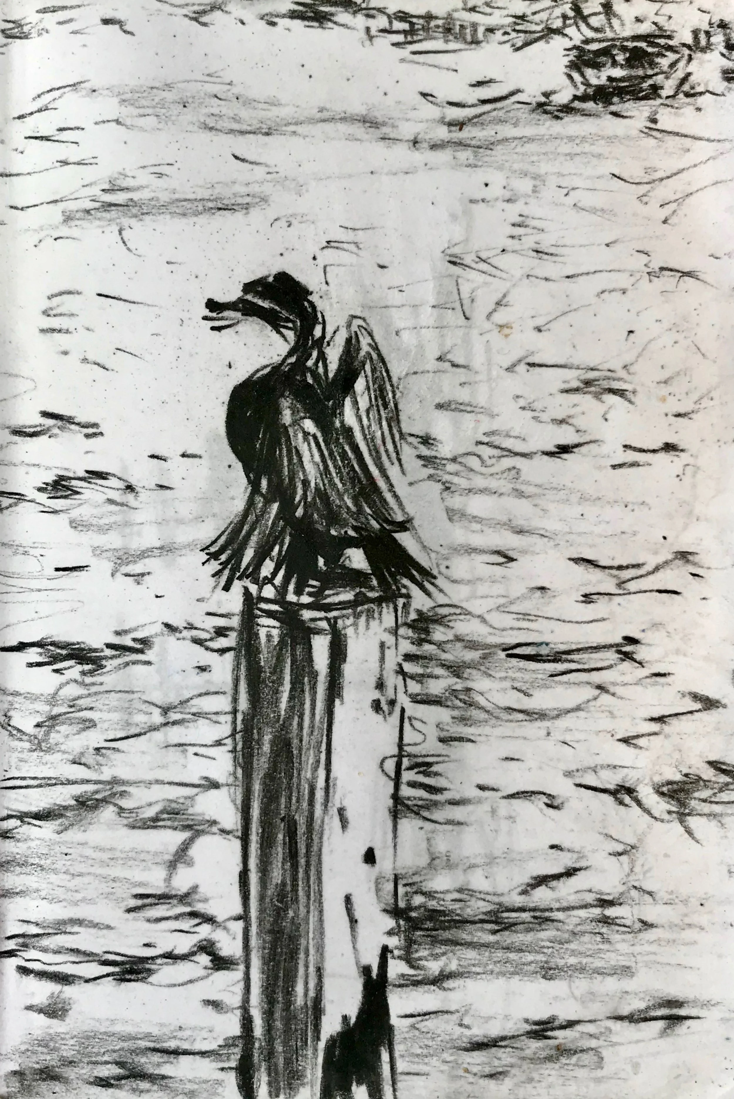 Cormorant, Greenwich
Charcoal pencil drawing, 100 x140 mm