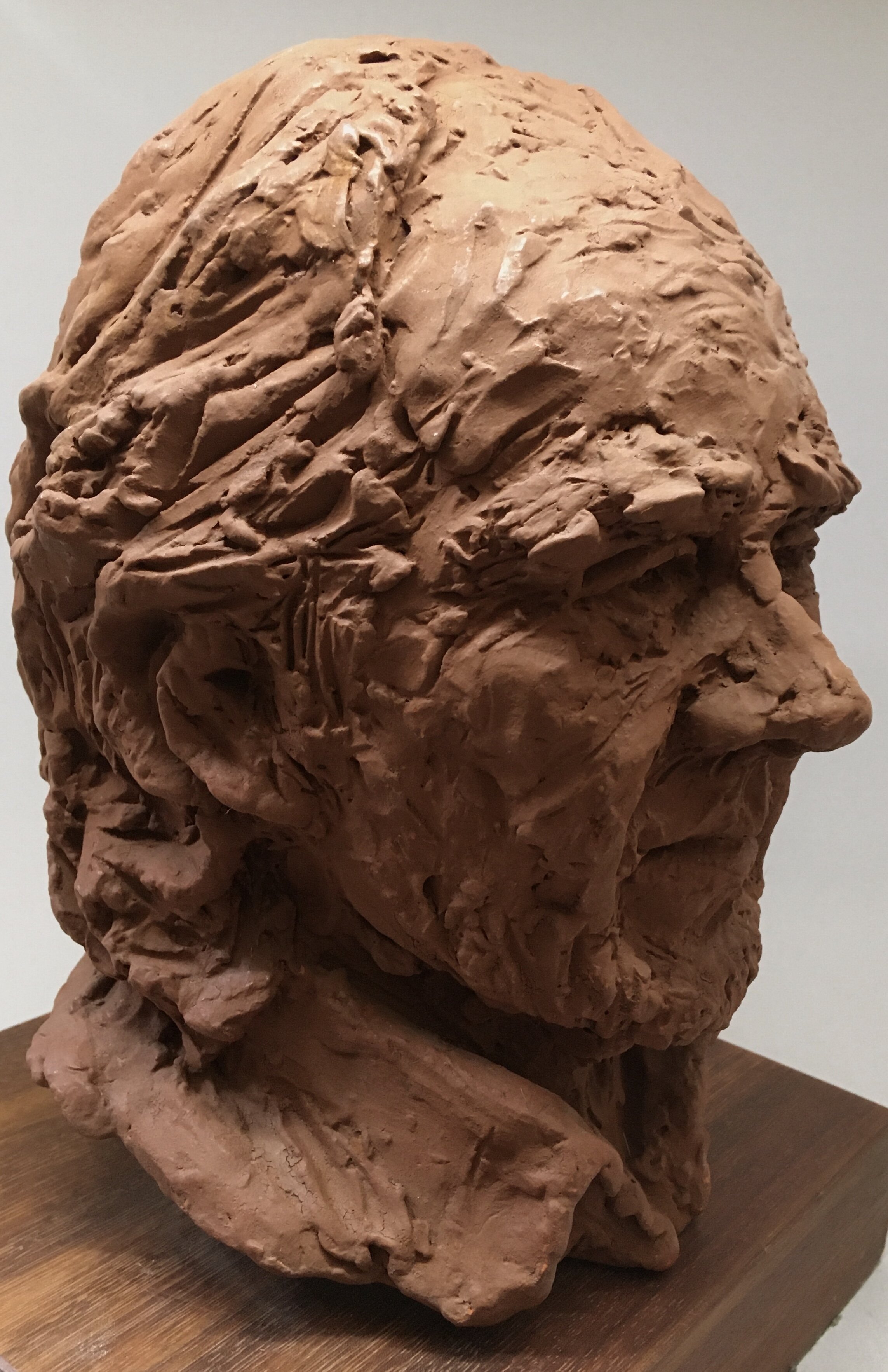 Warwick. terracotta . height 250mm