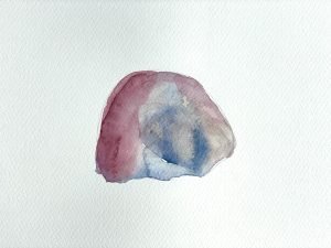 Shell Study #8 Killinchronan 2023, watercolour by Calum Hall