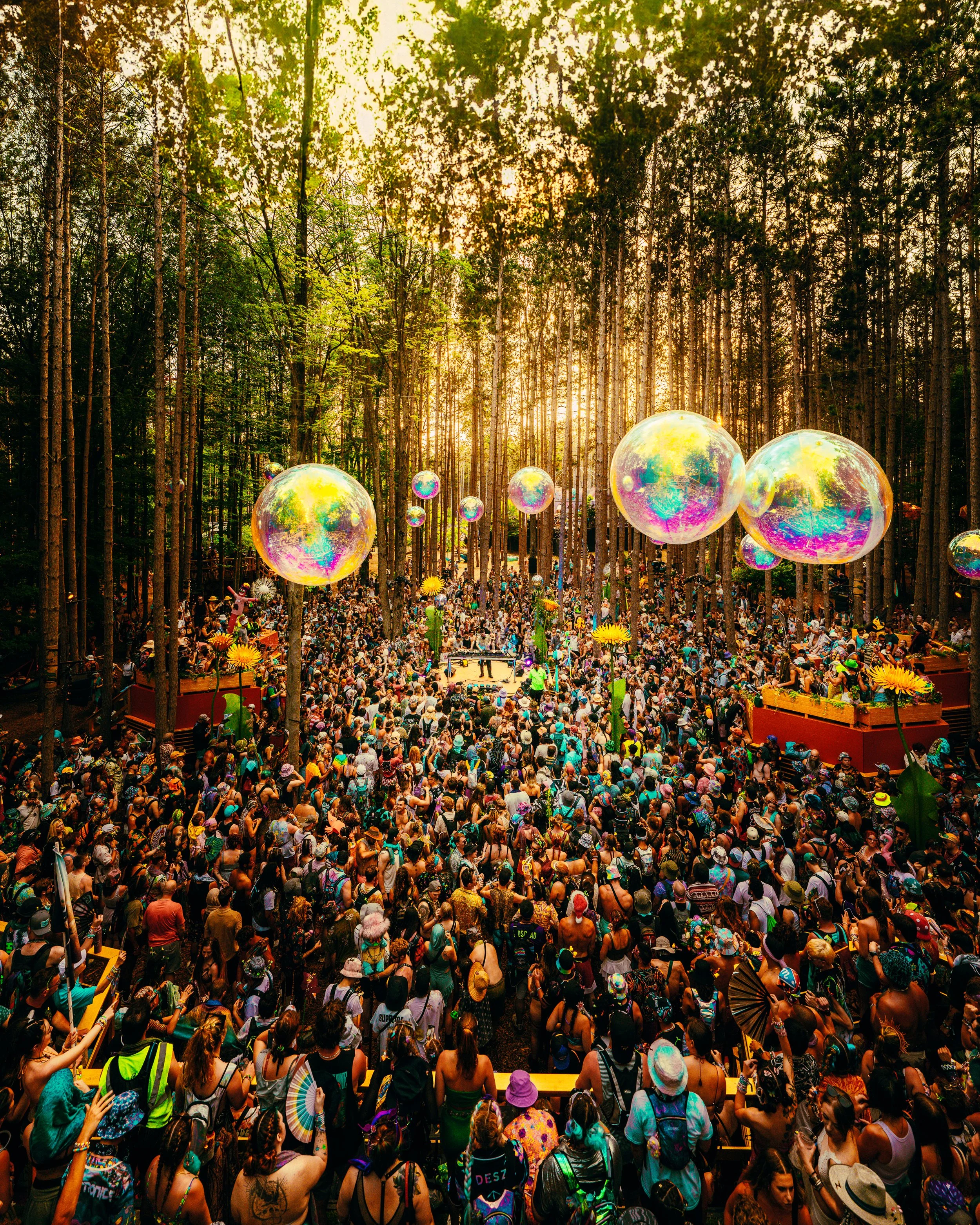 Music Festivals