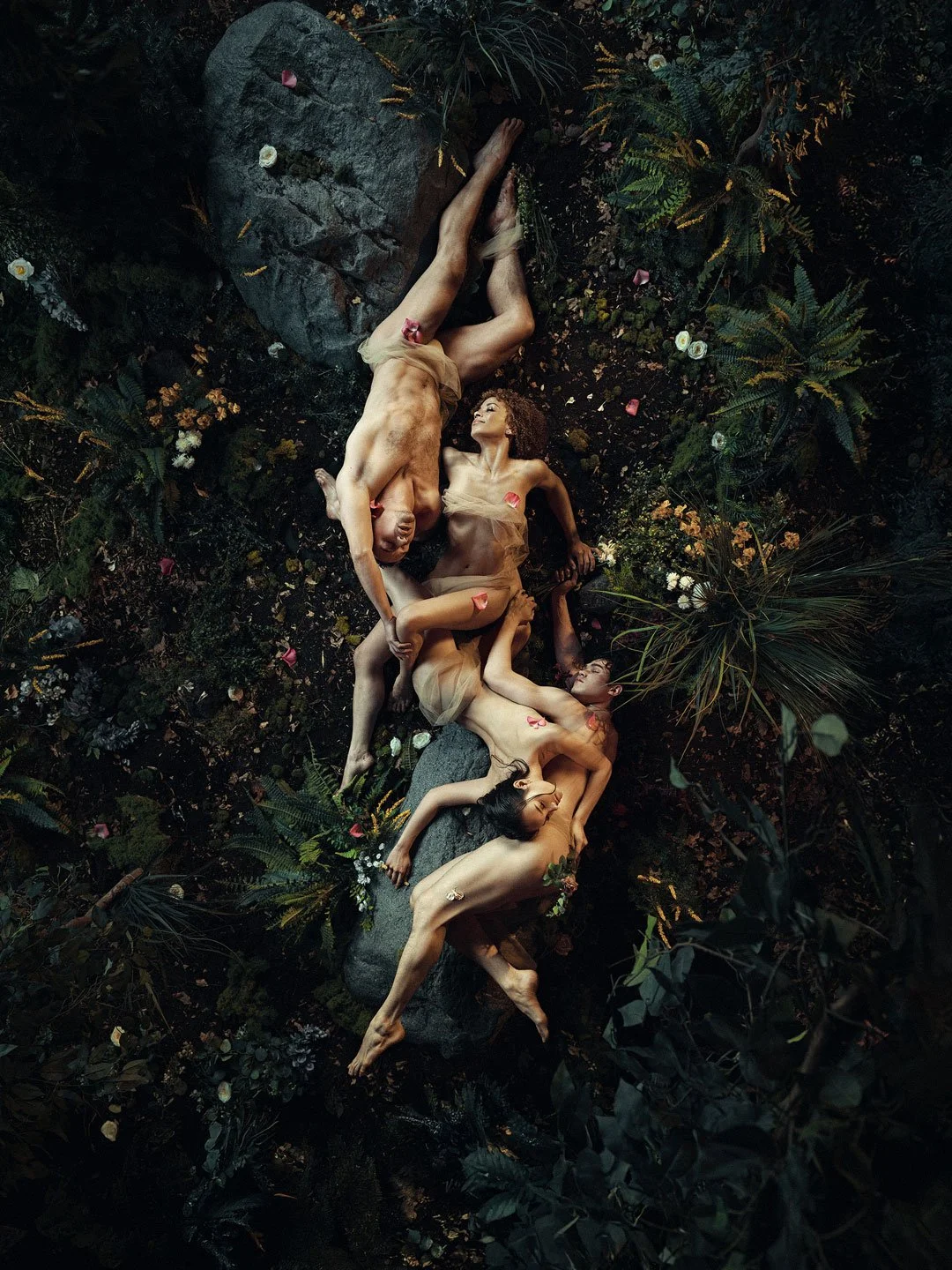 Midsummer Night Dream - Les Grands Ballets Canadiens