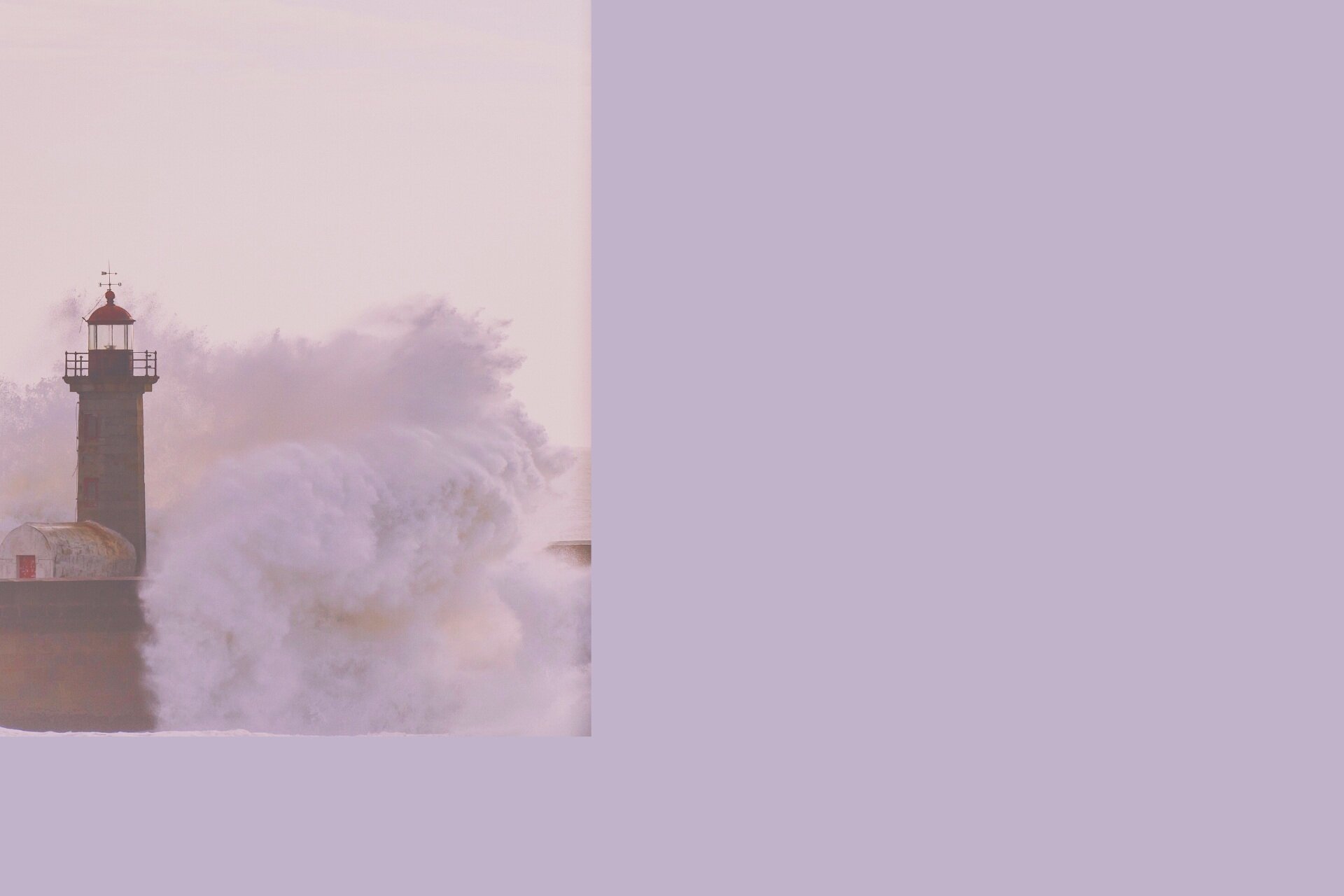 Copy+of+The+Sonya_+Background+Template+%283%29.jpg