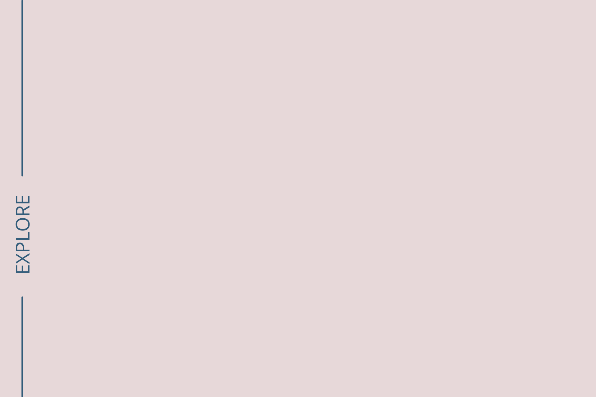 Copy of The Sonya_ Background Template (10).png