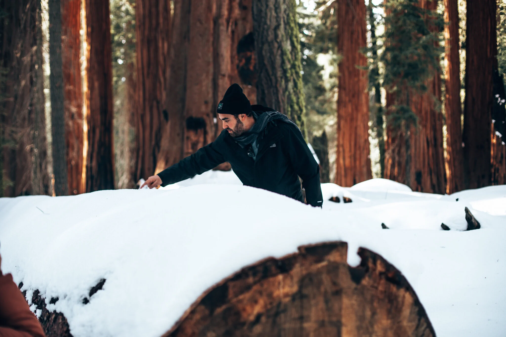 7Z8A3289.jpg
