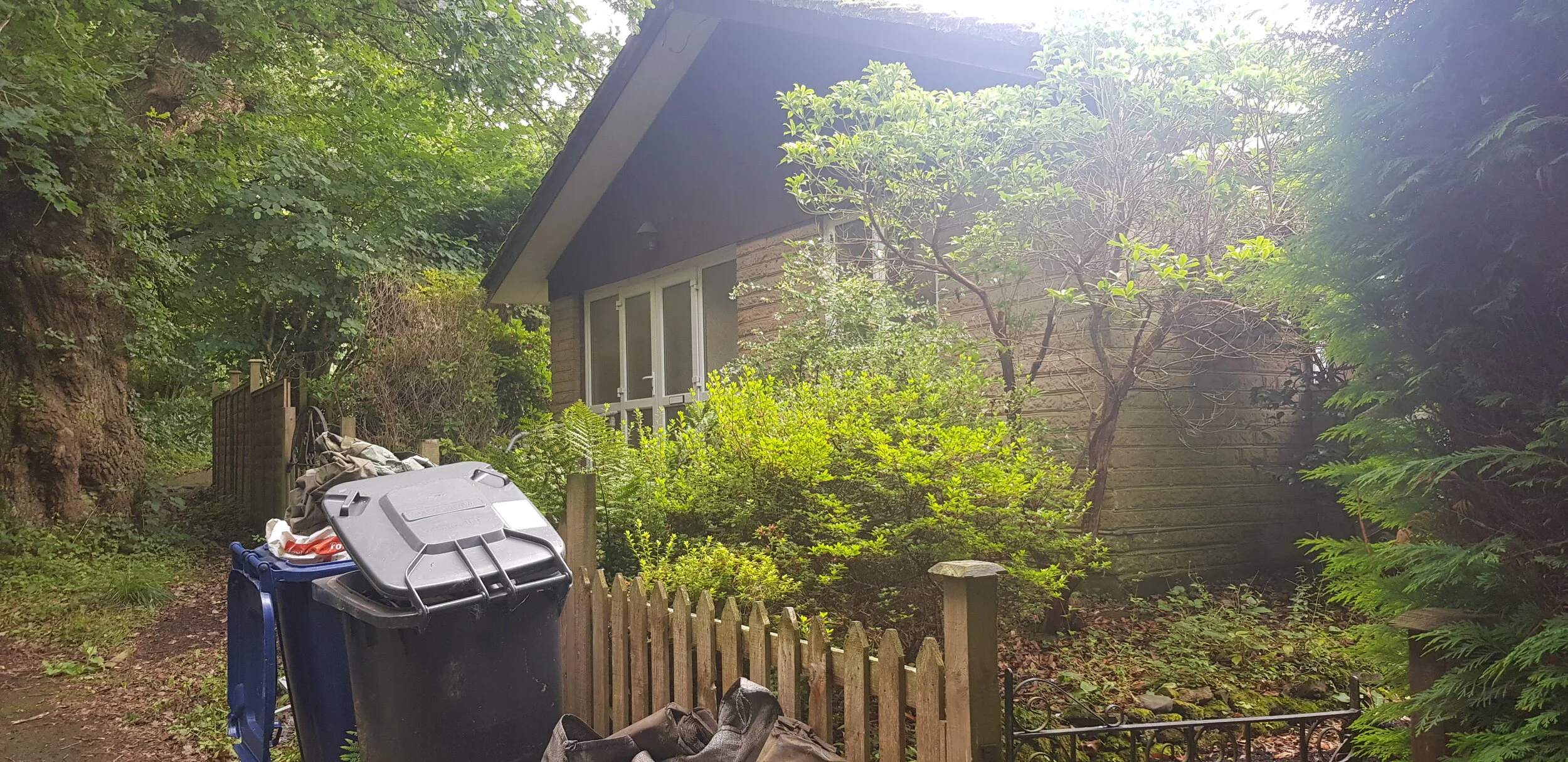 20190809_131859.jpg