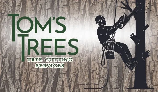 biz cards and yard sign working-01.jpeg