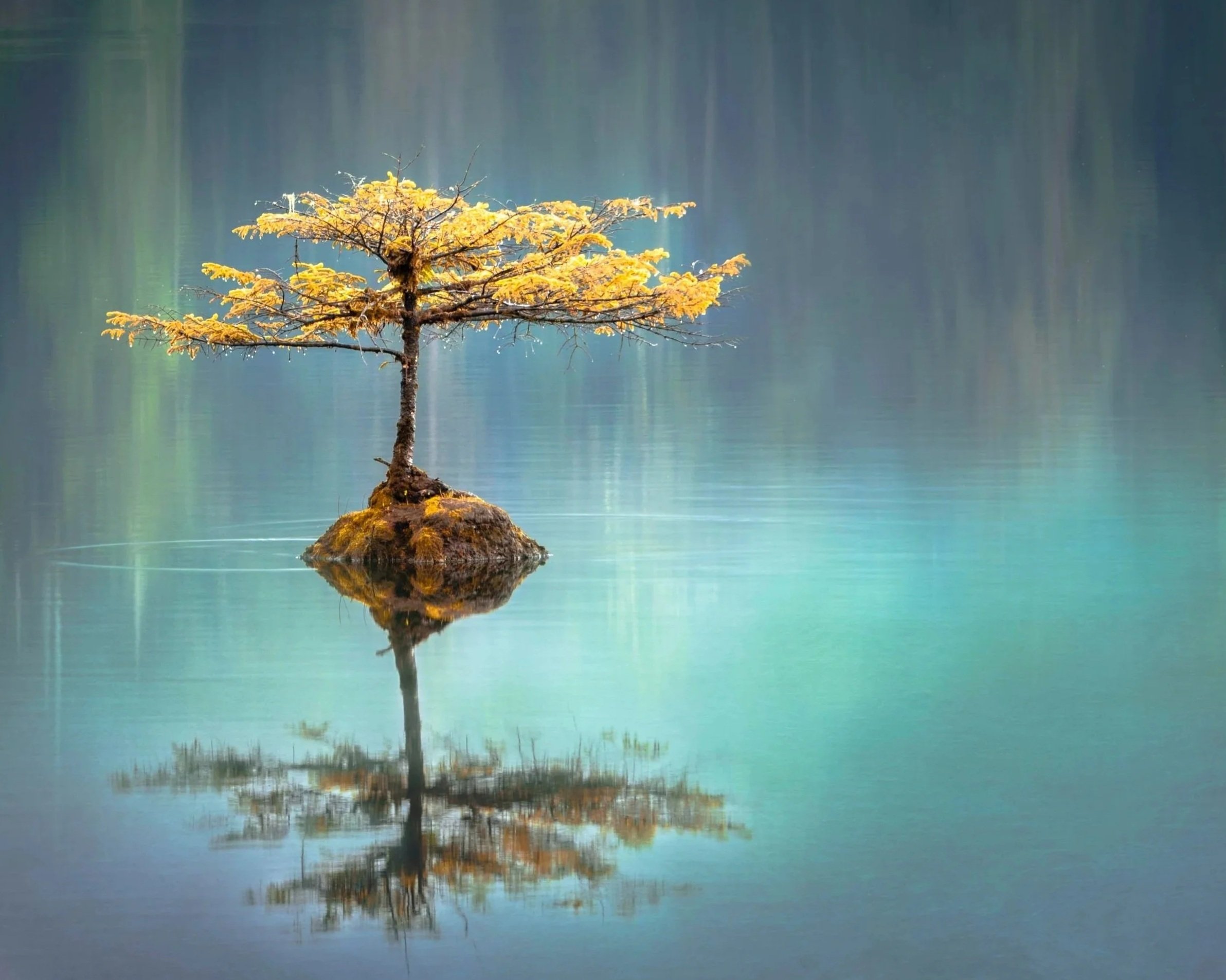 panoramic # 2 (above I_m so glad you_re here).jpg