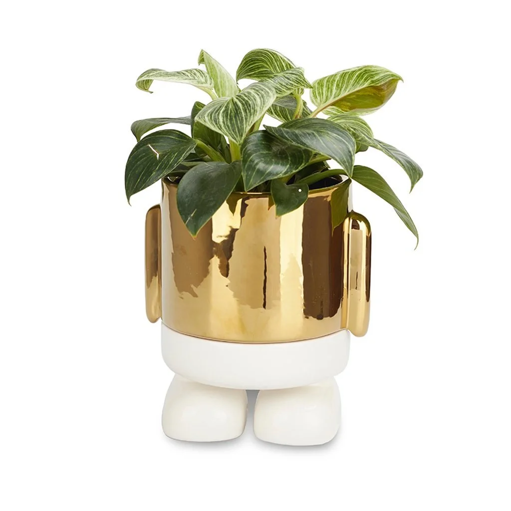flower-pot-mr-standy-gold-edition-golden-ceramic-27687.jpg