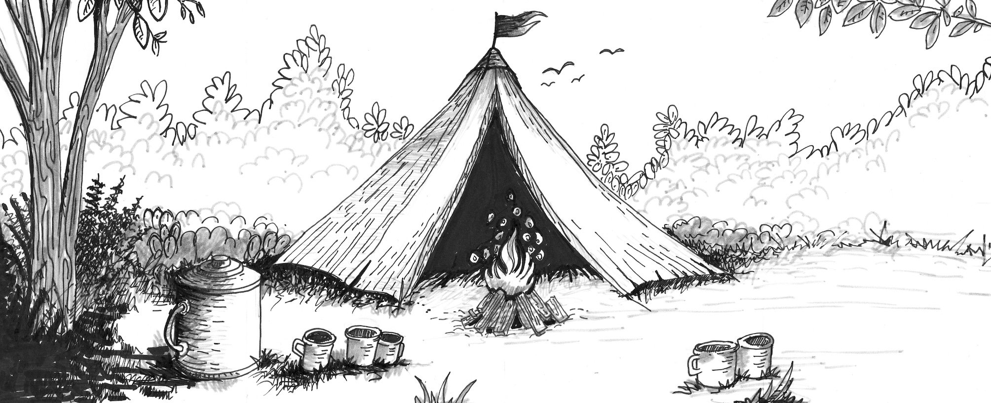 _0021_day 22 camp.tiff_sqx.jpg